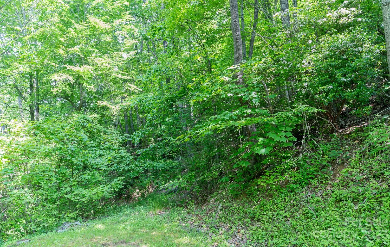 155 Rocky Knob None Property Photo 3