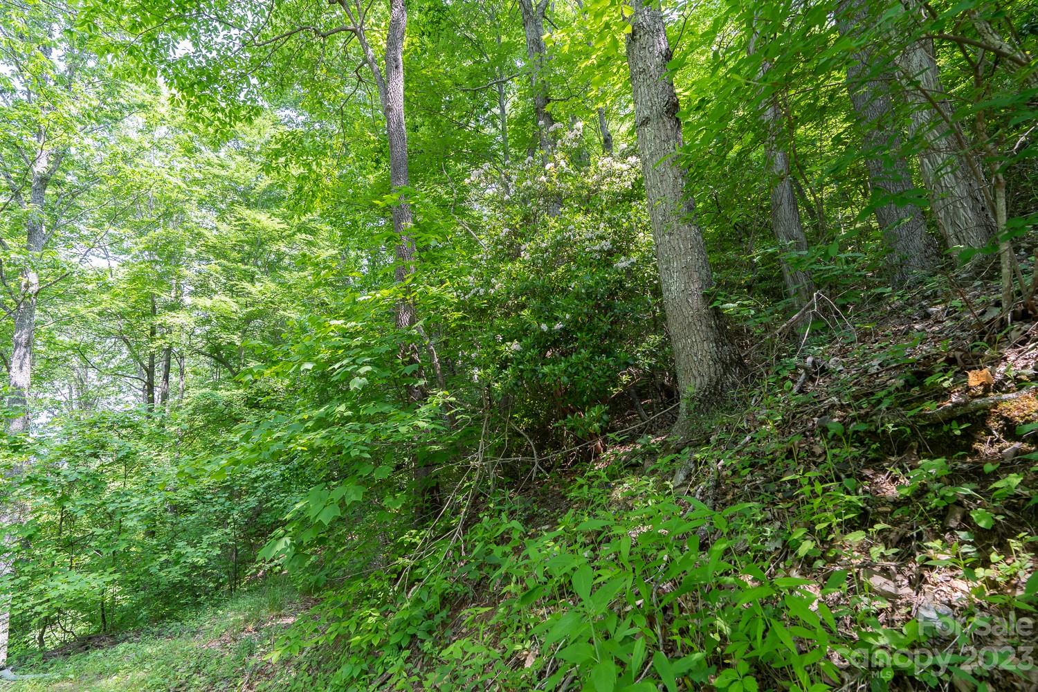 155 Rocky Knob None Property Photo 4
