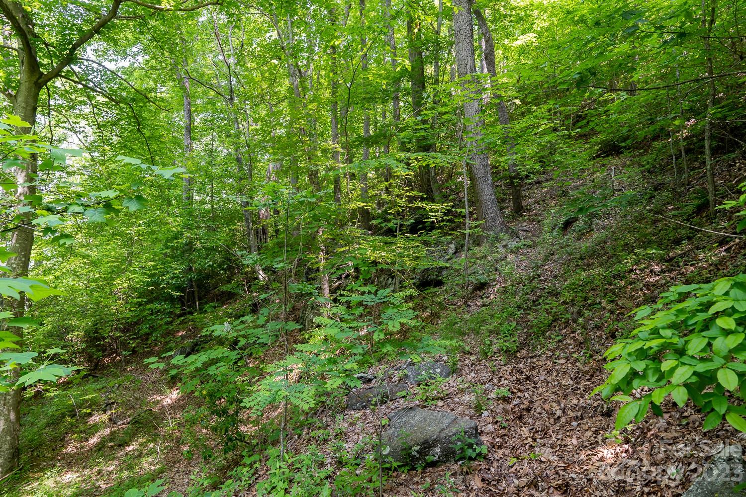 155 Rocky Knob None Property Photo 5