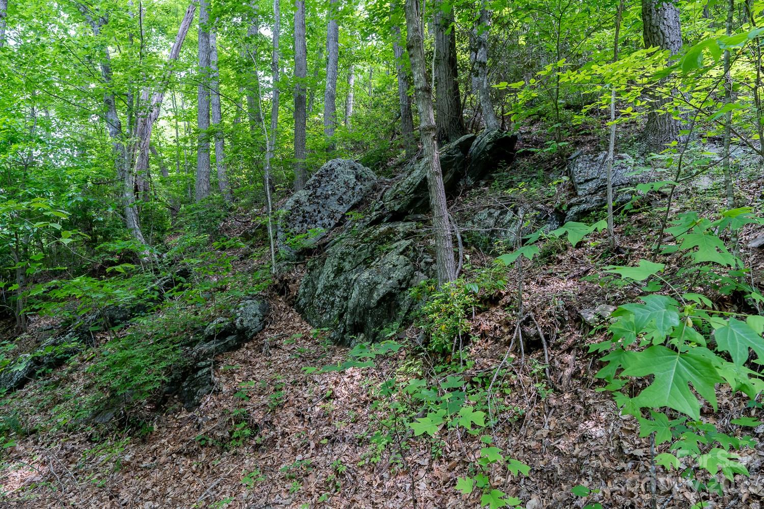 155 Rocky Knob None Property Photo 6