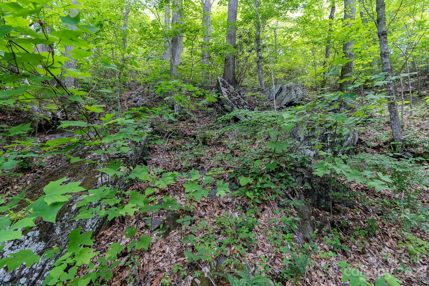 155 Rocky Knob None Property Photo 7