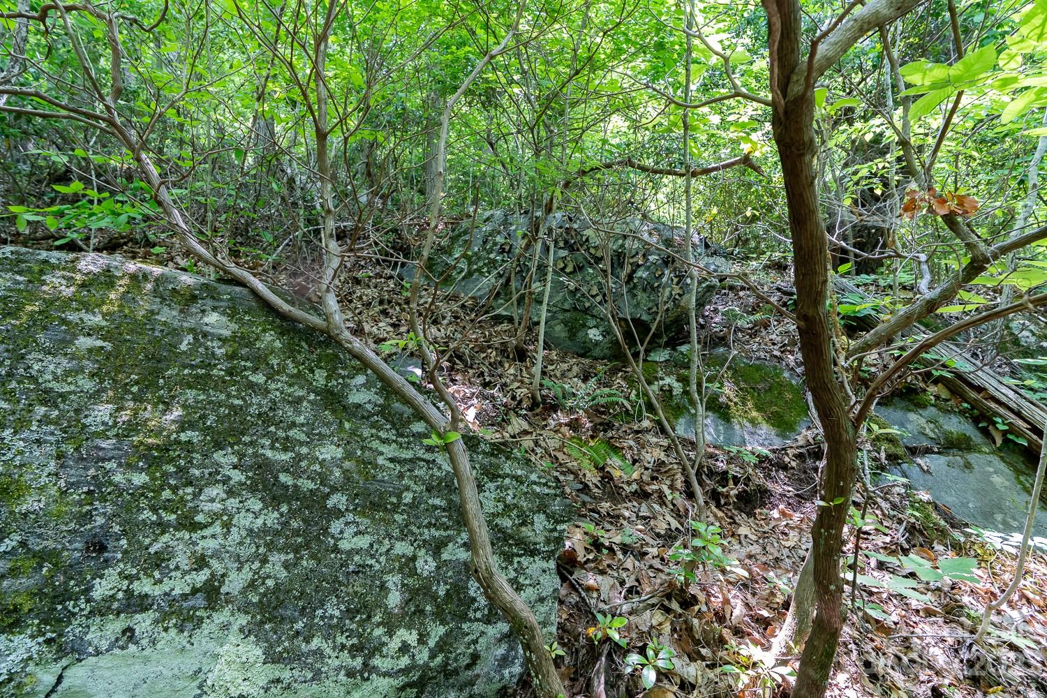 155 Rocky Knob None Property Photo 8