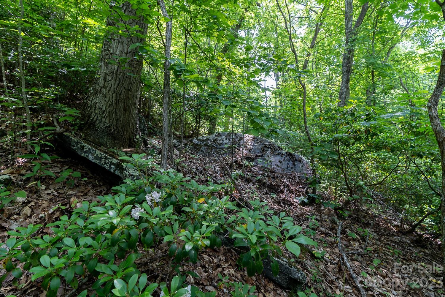 155 Rocky Knob None Property Photo 9