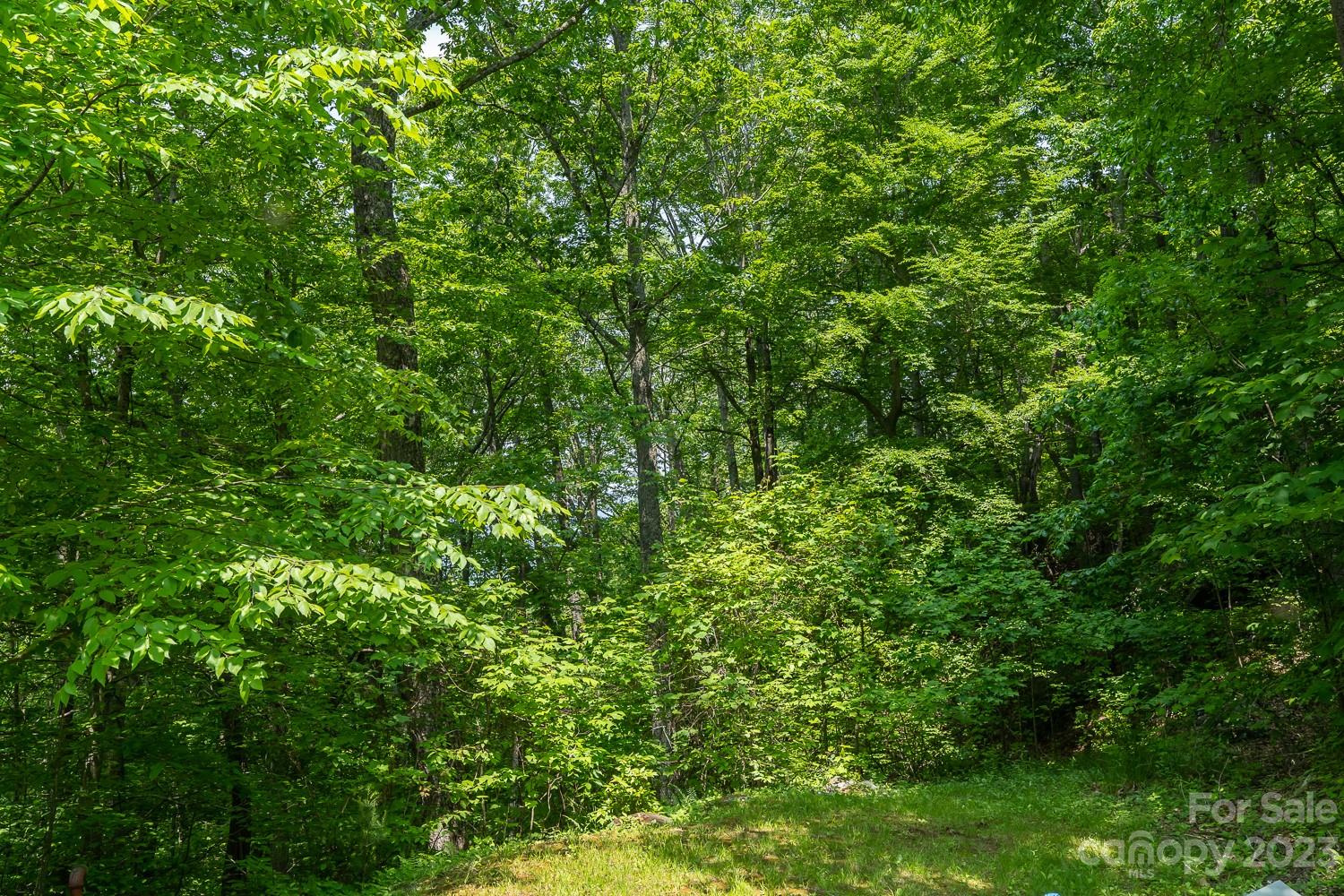 155 Rocky Knob None Property Photo 12