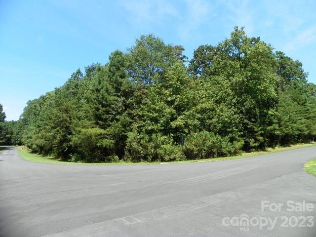 216 Heron Bay Drive Property Photo 1