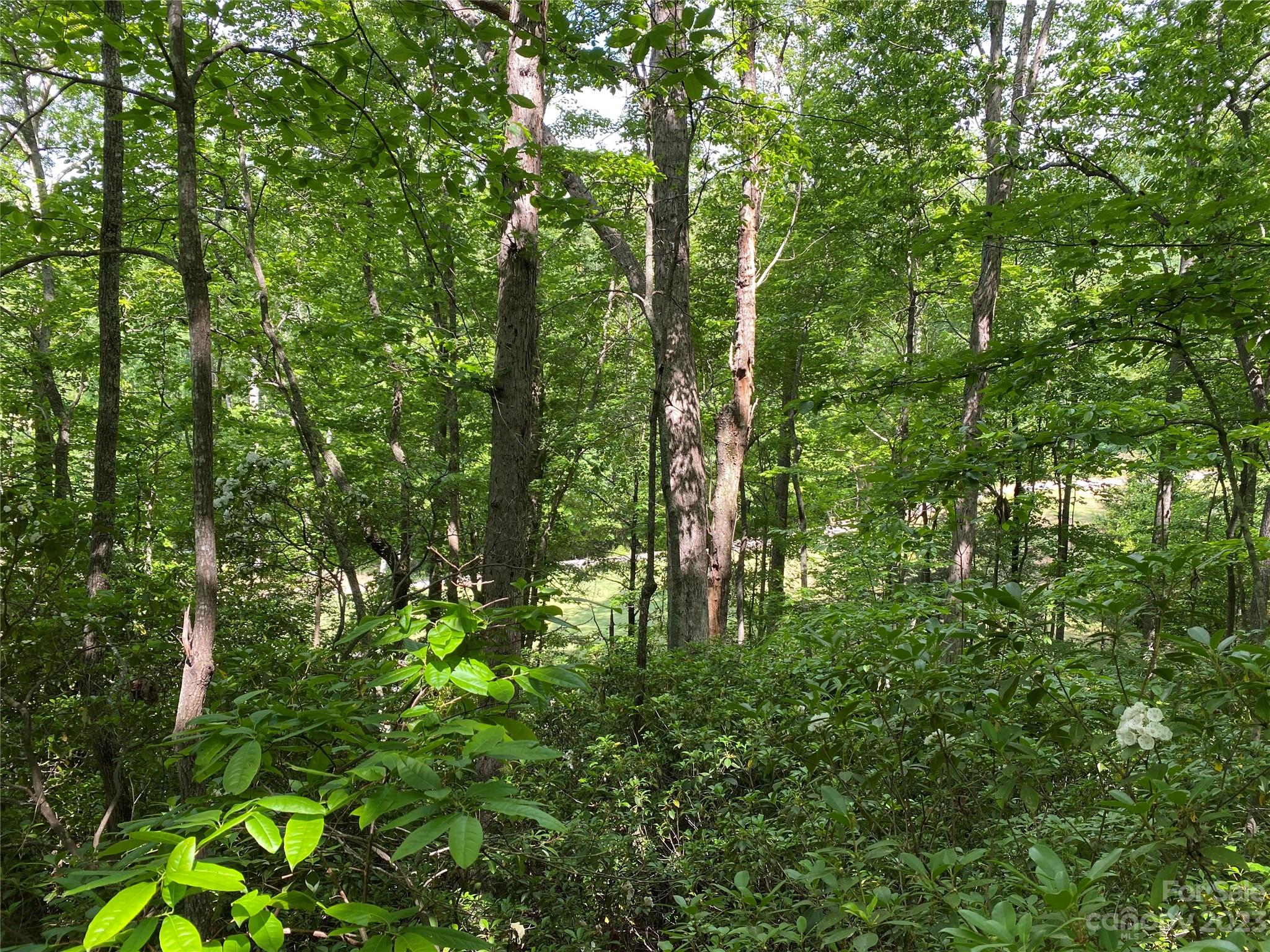 Lot 56 Winesap Boulevard 56 Property Photo 4
