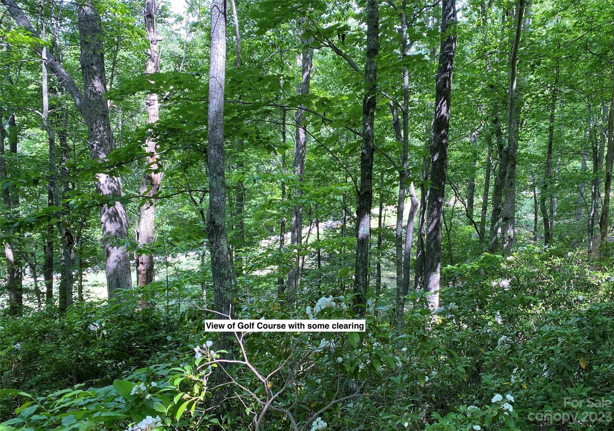 Lot 56 Winesap Boulevard 56 Property Photo 5