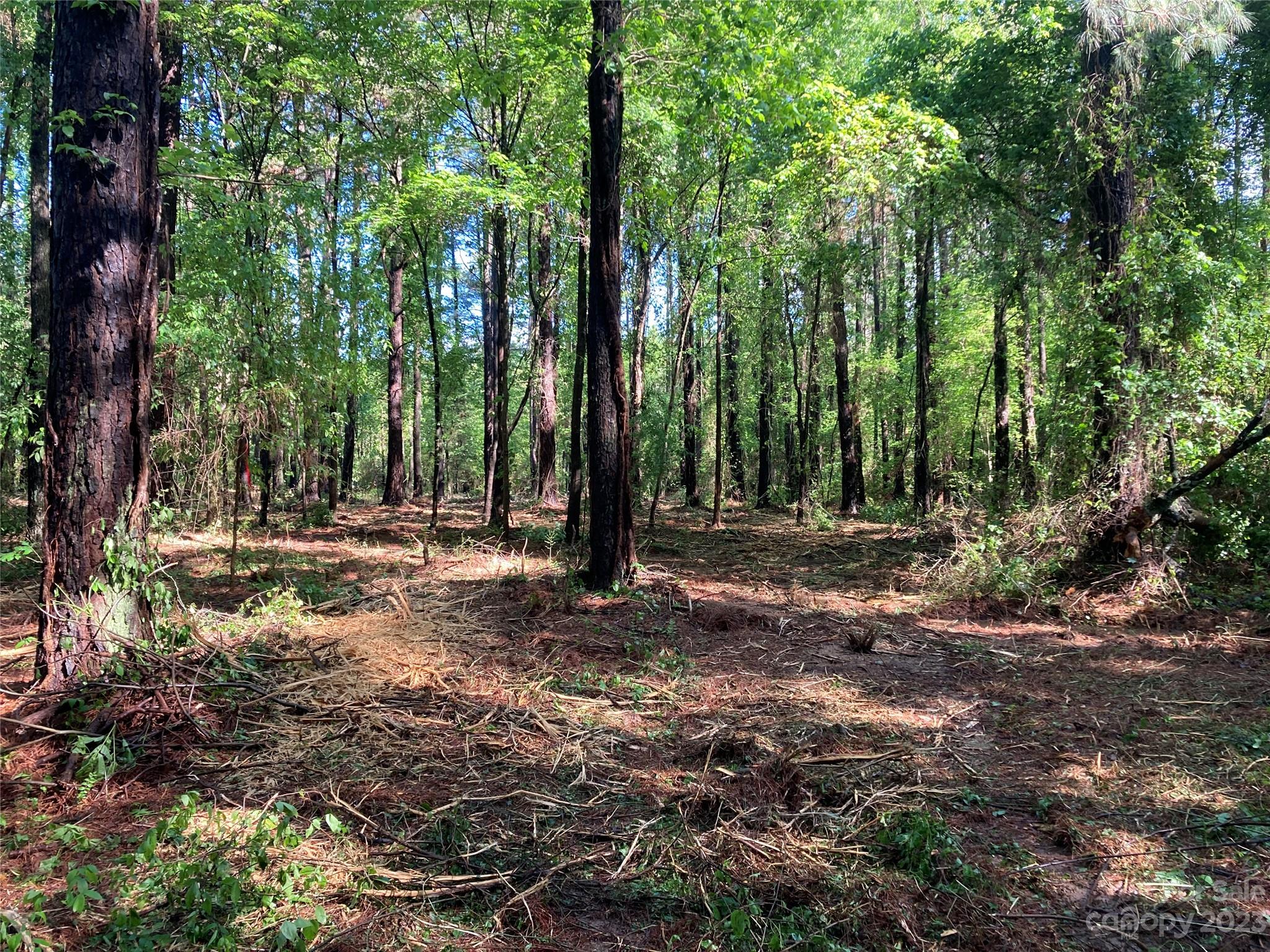 8574 Sherrills Ford Road Property Photo 7