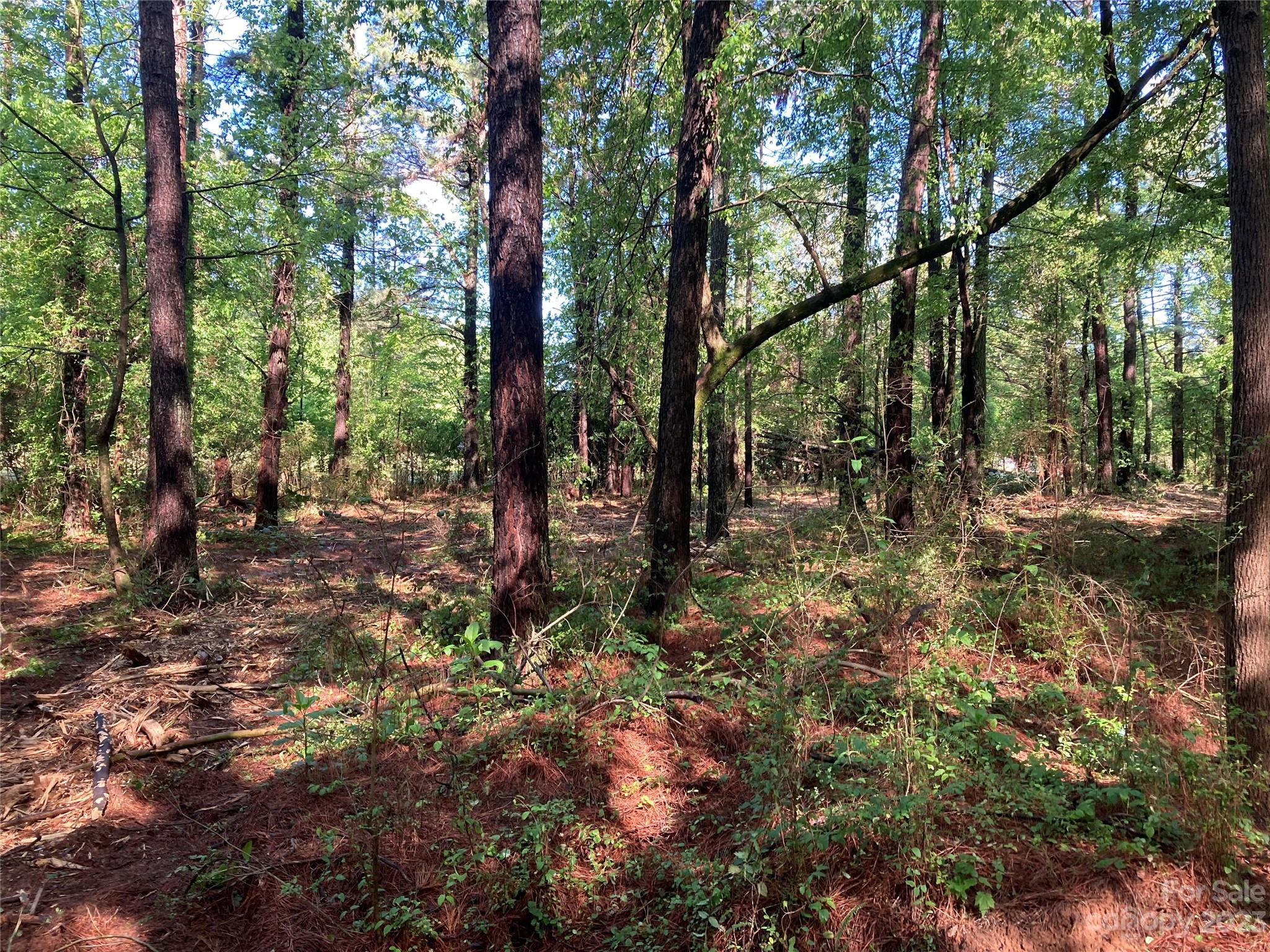 8574 Sherrills Ford Road Property Photo 8