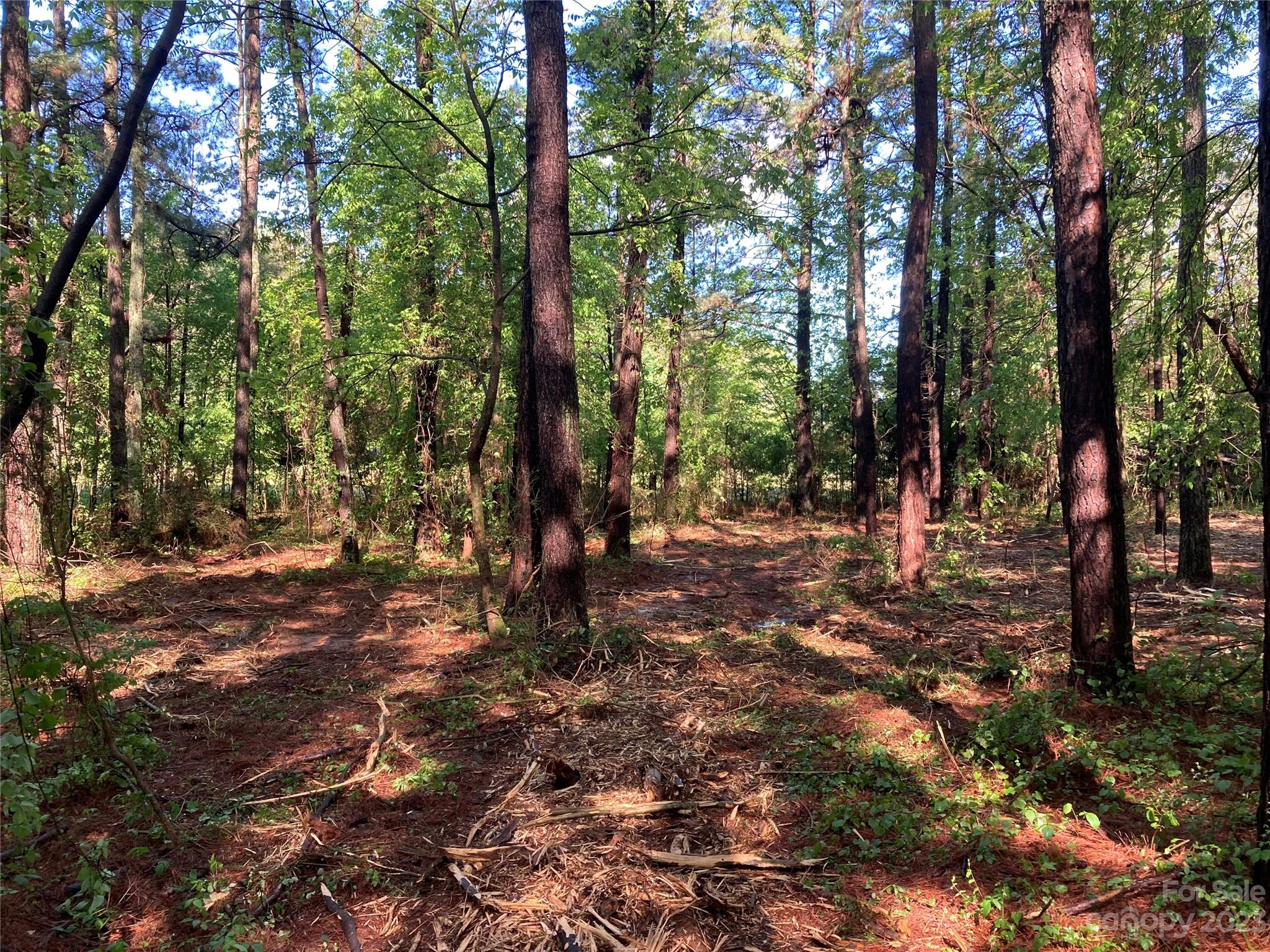 8574 Sherrills Ford Road Property Photo 10