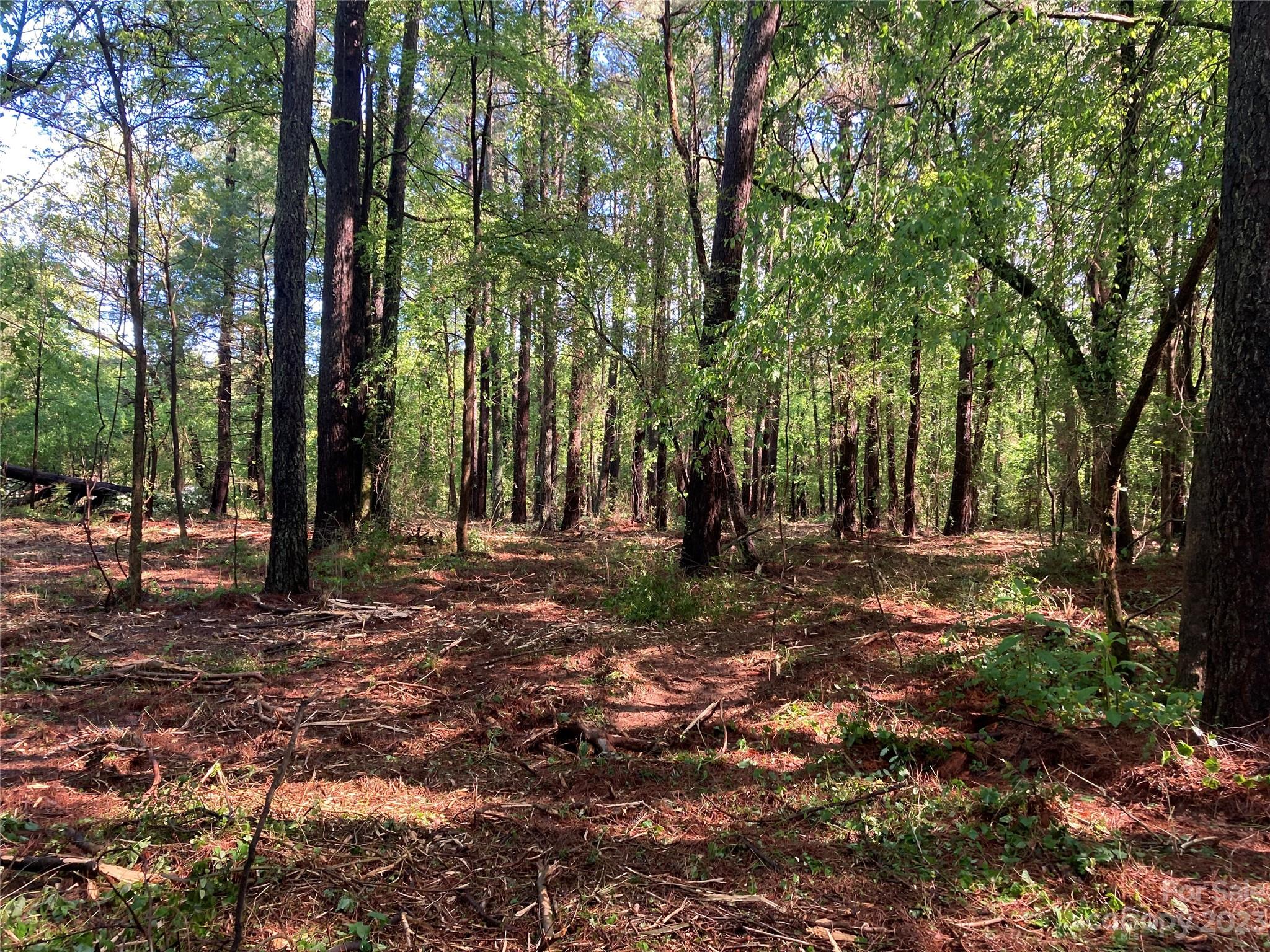 8574 Sherrills Ford Road Property Photo 11