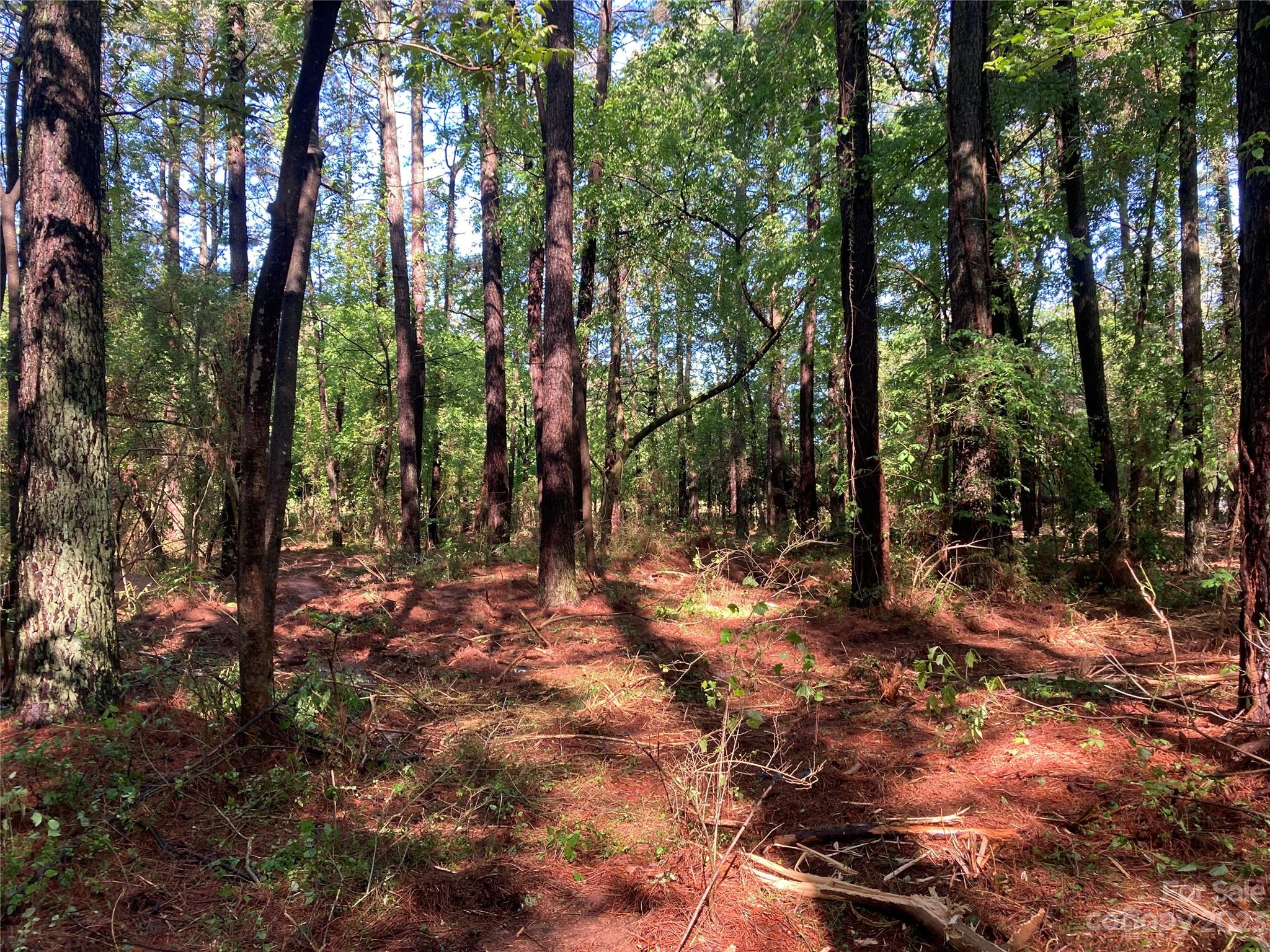 8574 Sherrills Ford Road Property Photo 12