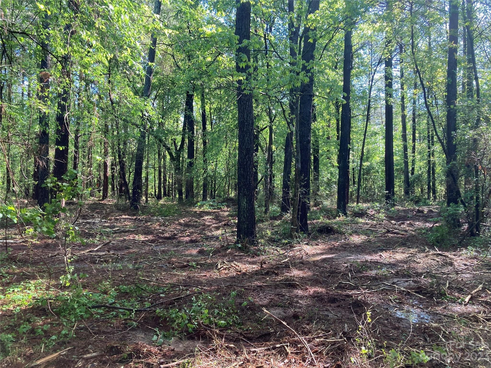 8574 Sherrills Ford Road Property Photo 13