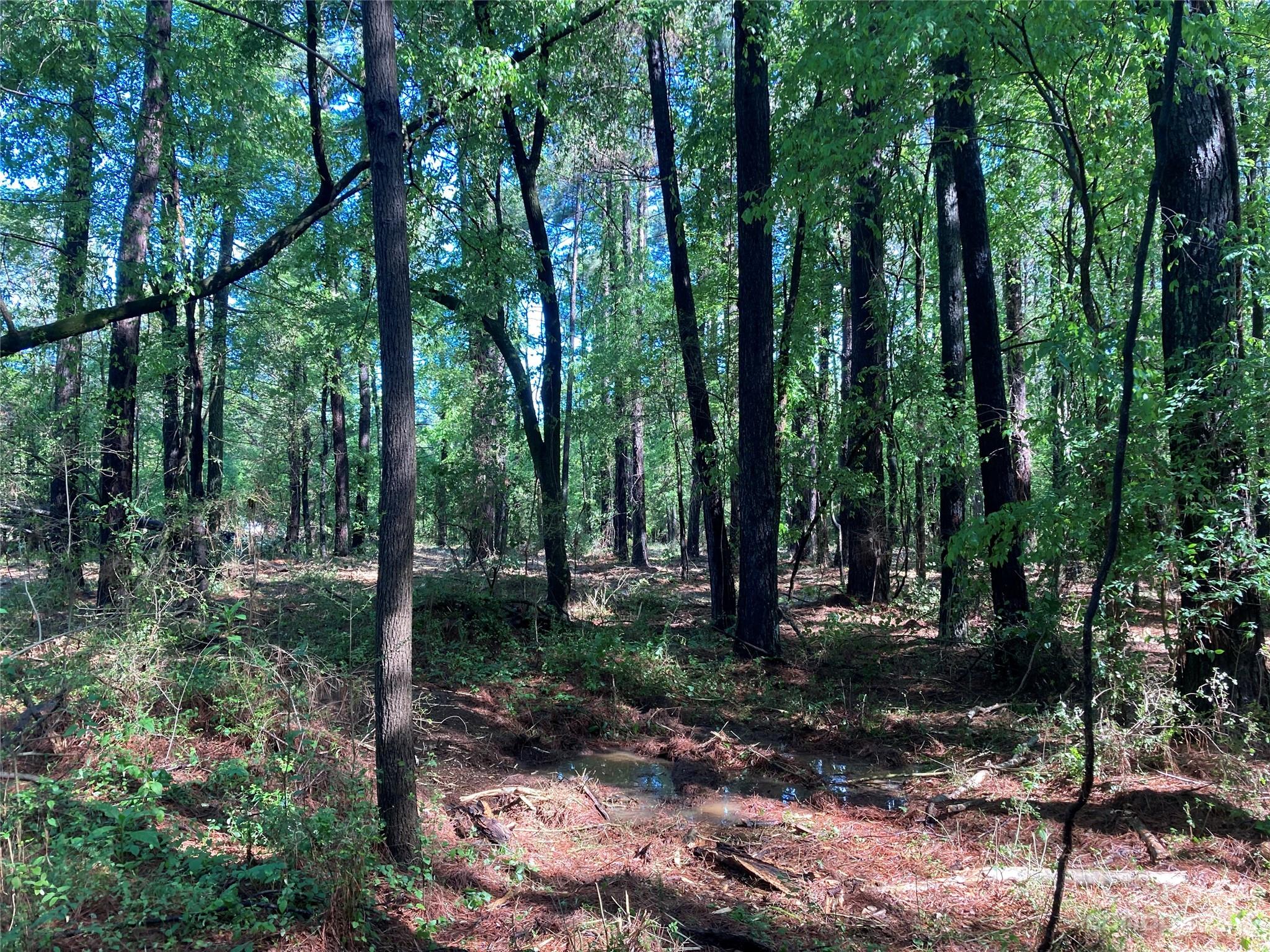 8574 Sherrills Ford Road Property Photo 16