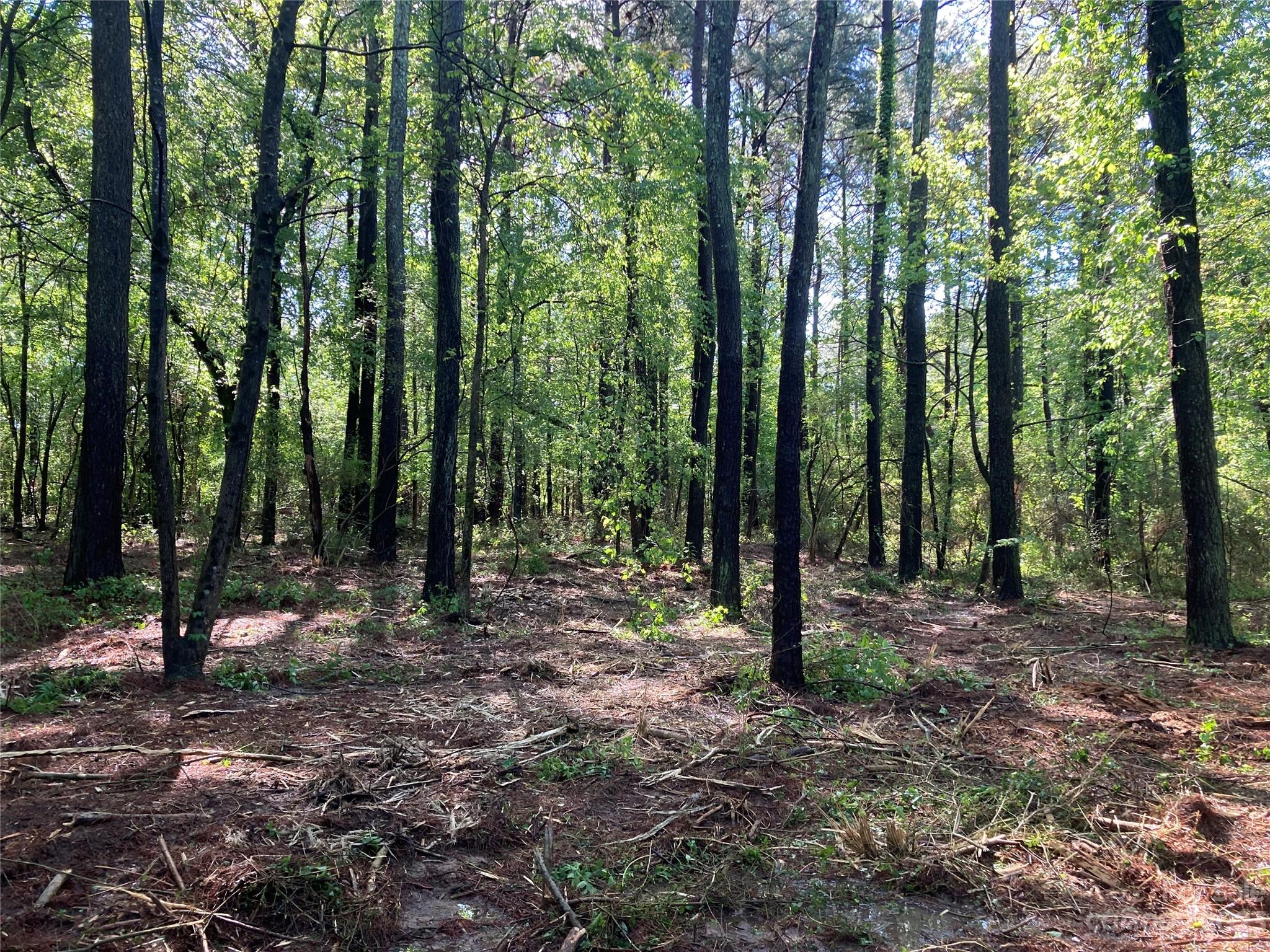 8574 Sherrills Ford Road Property Photo 17
