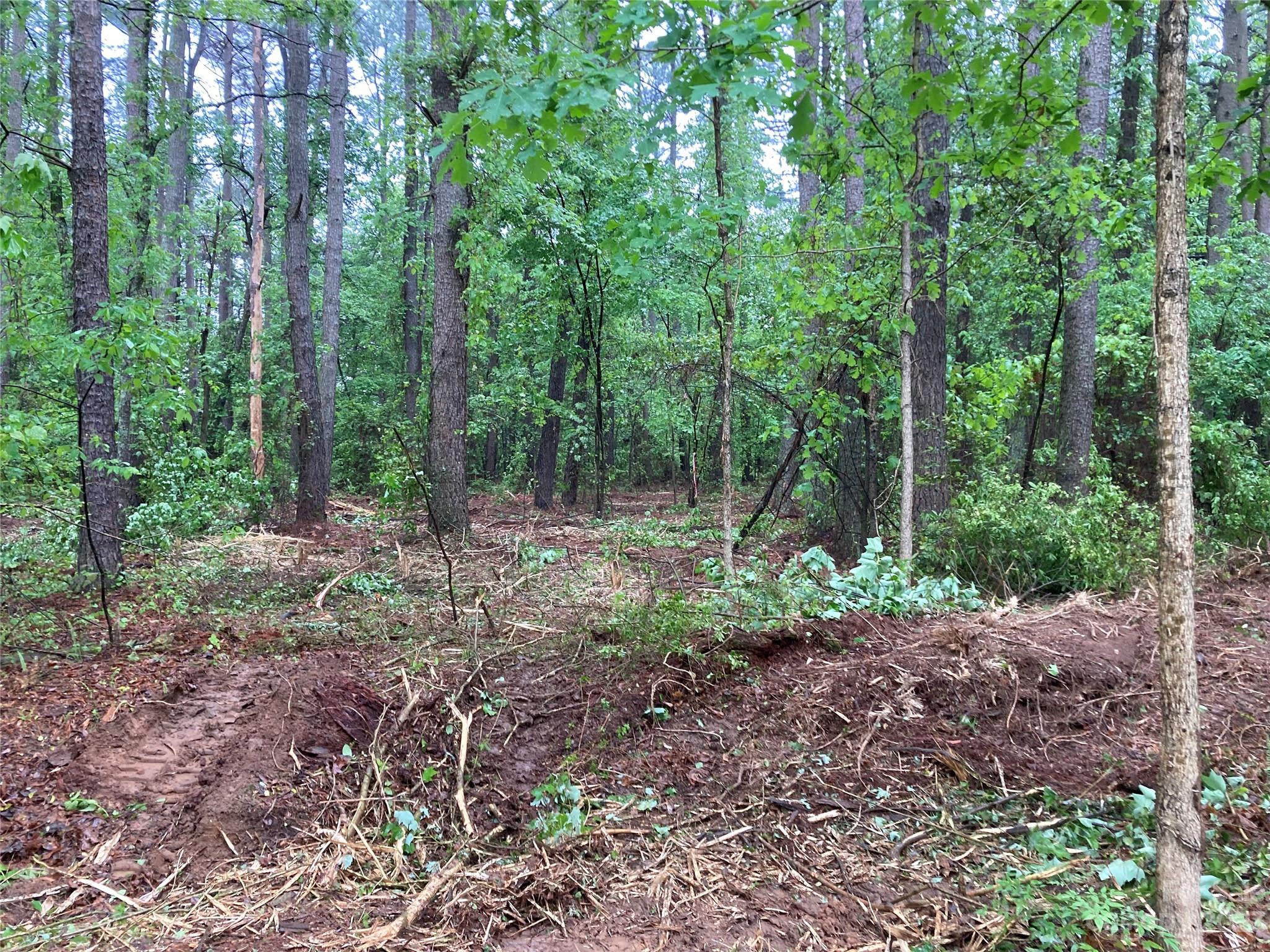 8574 Sherrills Ford Road Property Photo 18