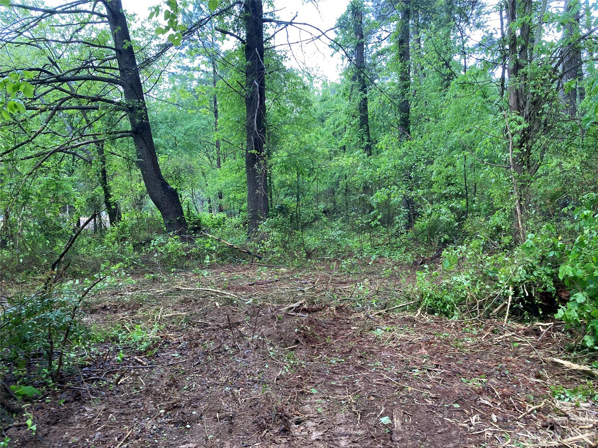 8574 Sherrills Ford Road Property Photo 19