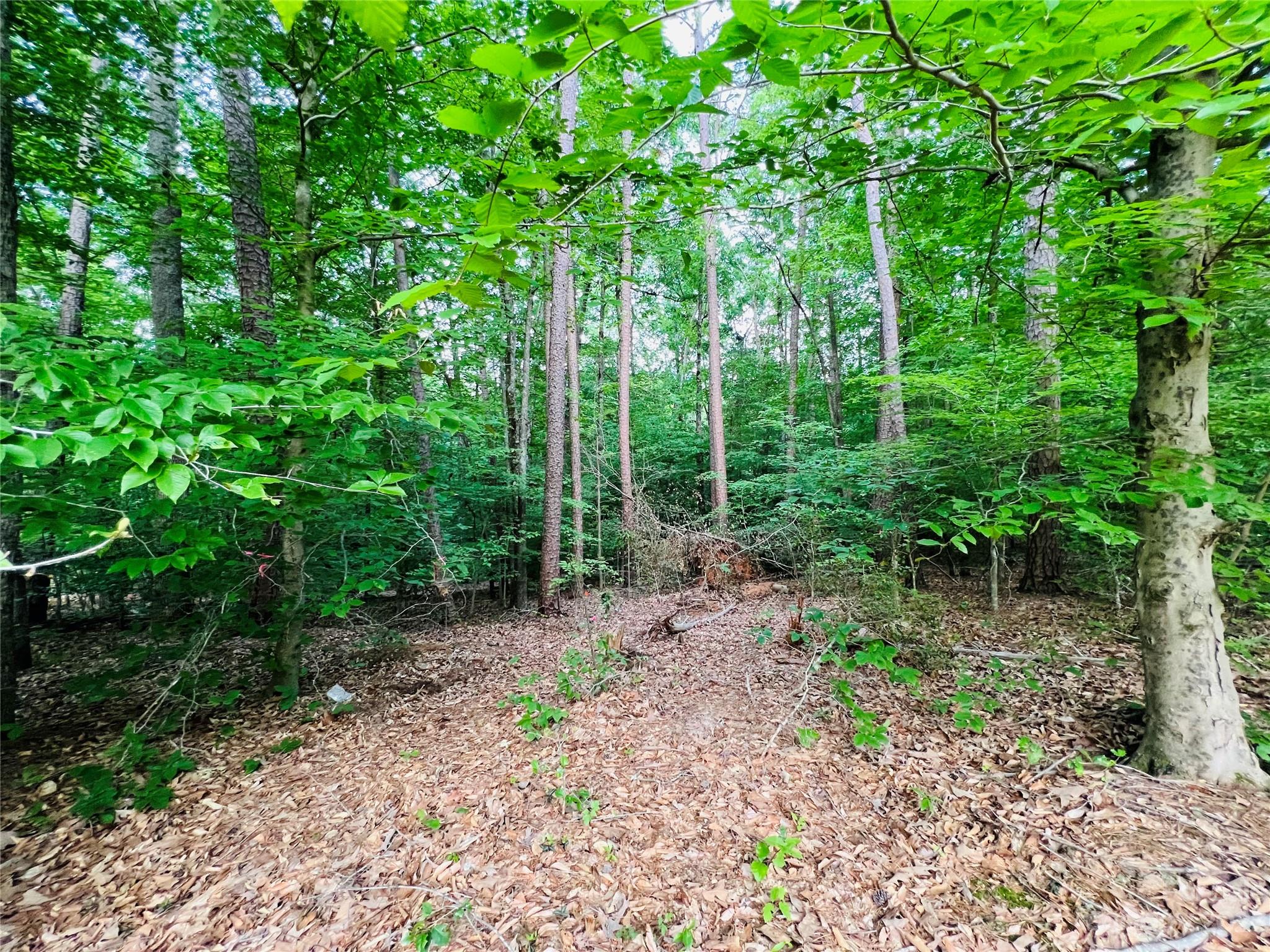 127 Admirals Court Property Photo 8