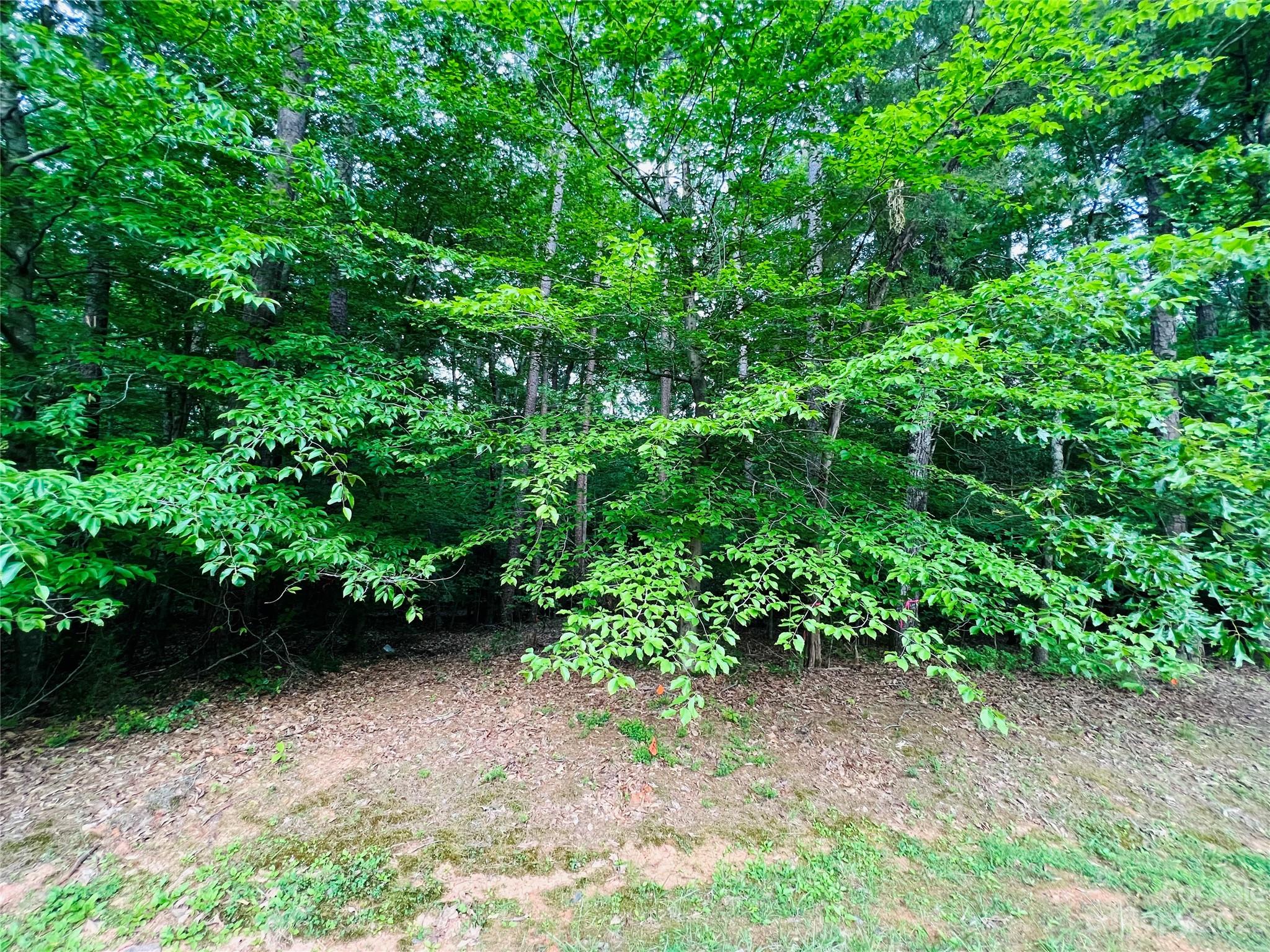 127 Admirals Court Property Photo 9