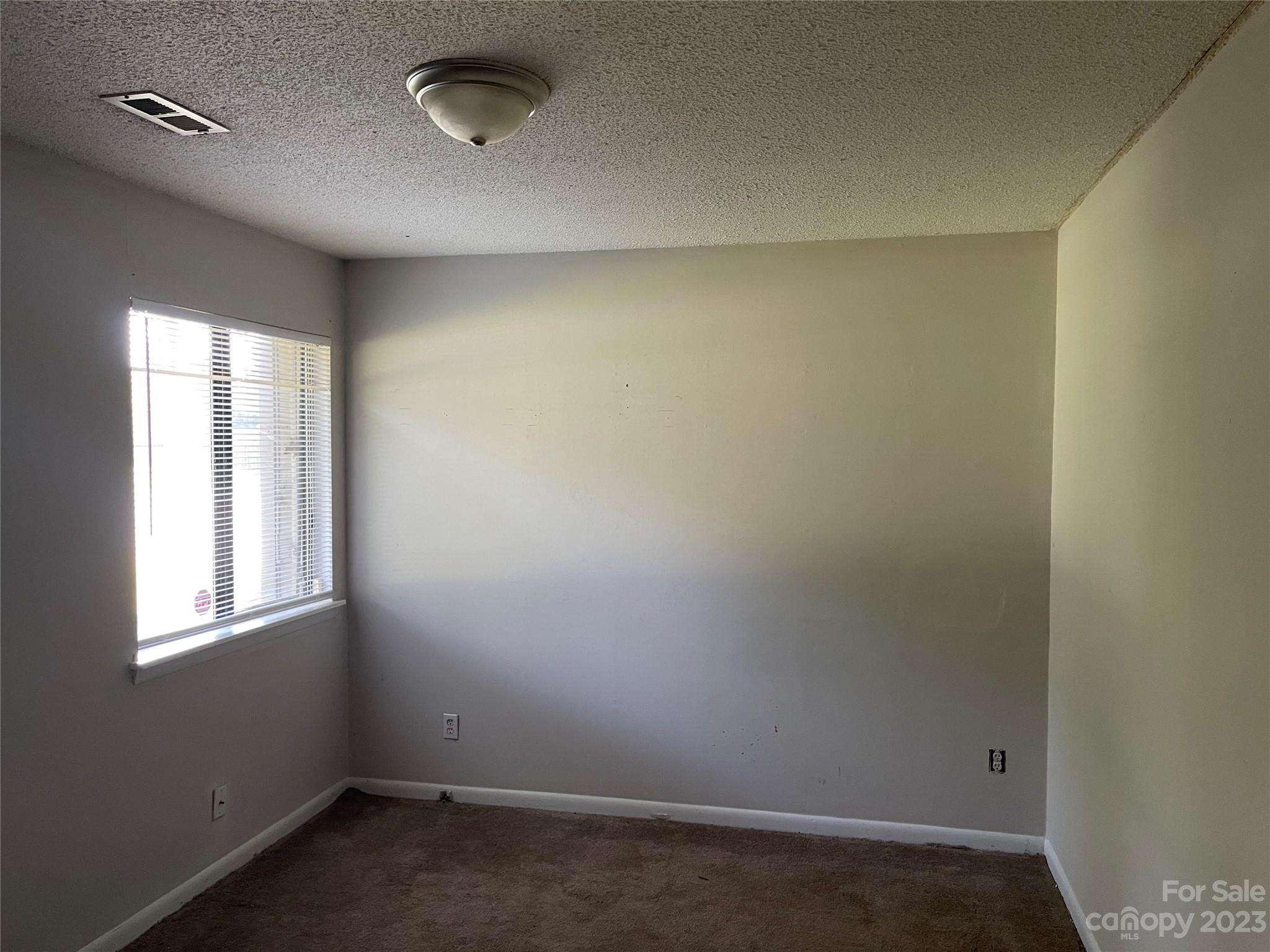 3701 Ashley Hall Drive Property Photo 12