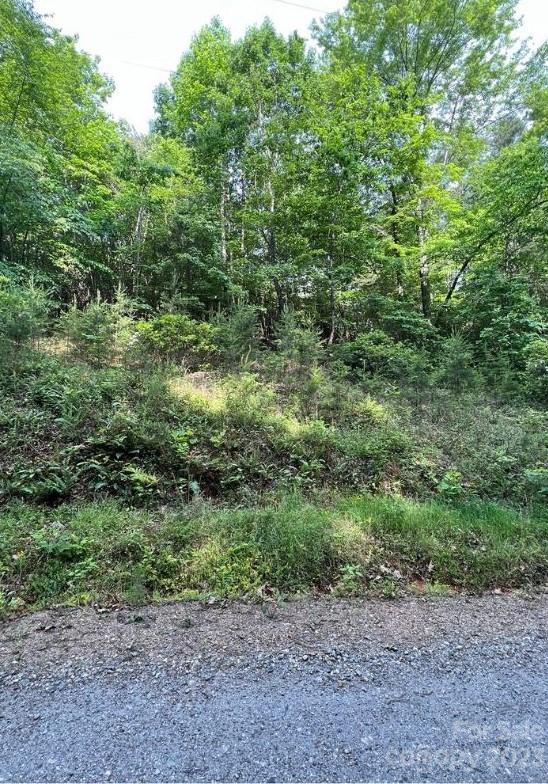 000 Birddog Boulevard Property Photo 1
