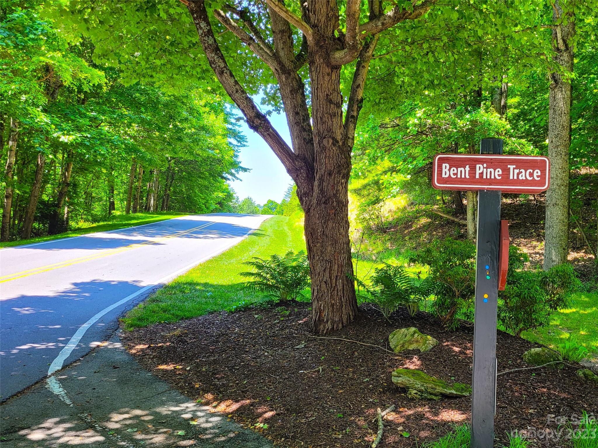 216 Bent Pine Trace 174 Property Photo 9