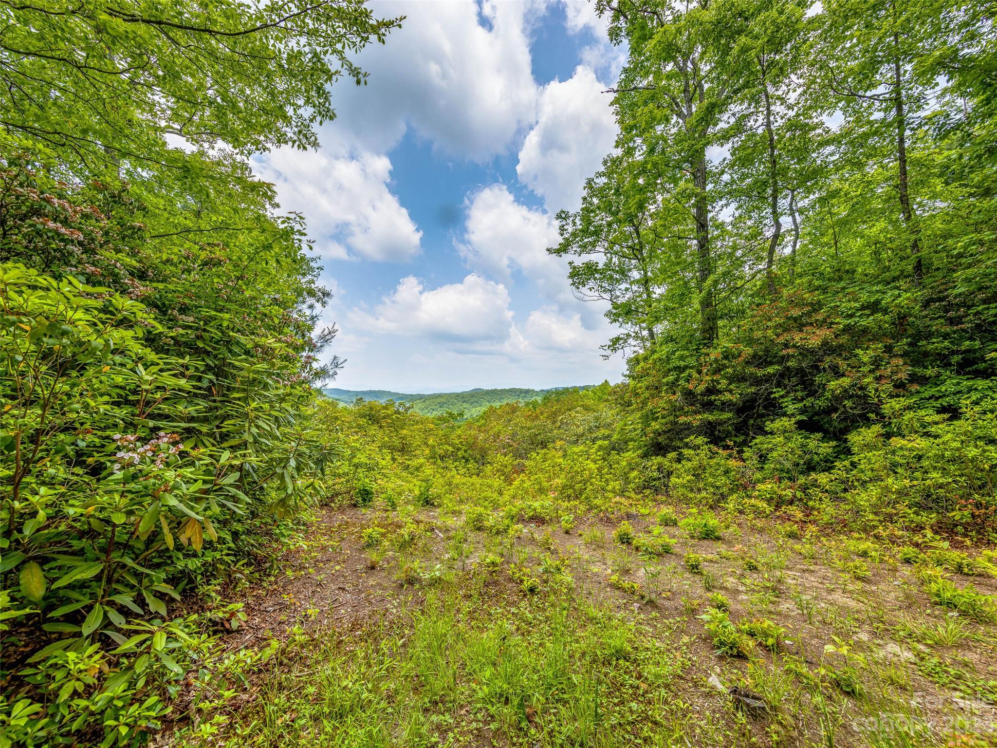 999 Big Hill Road Property Photo 4