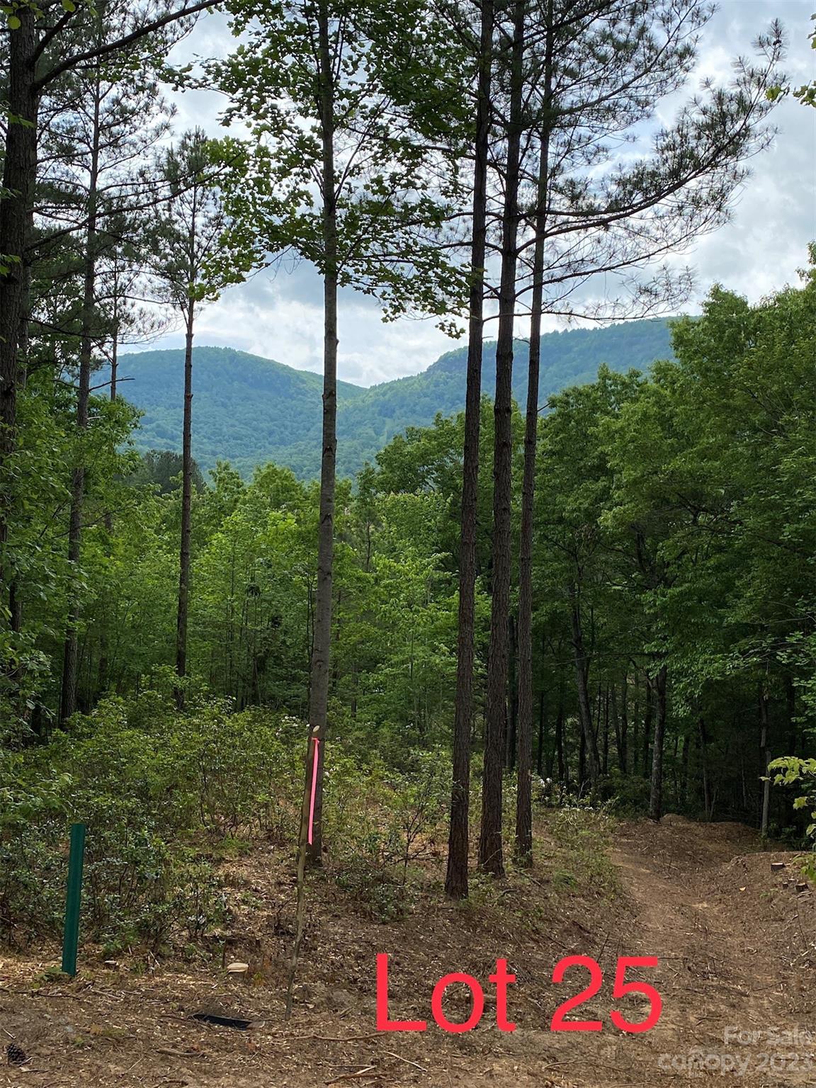 LOT 25 Monteith Place Property Photo 1