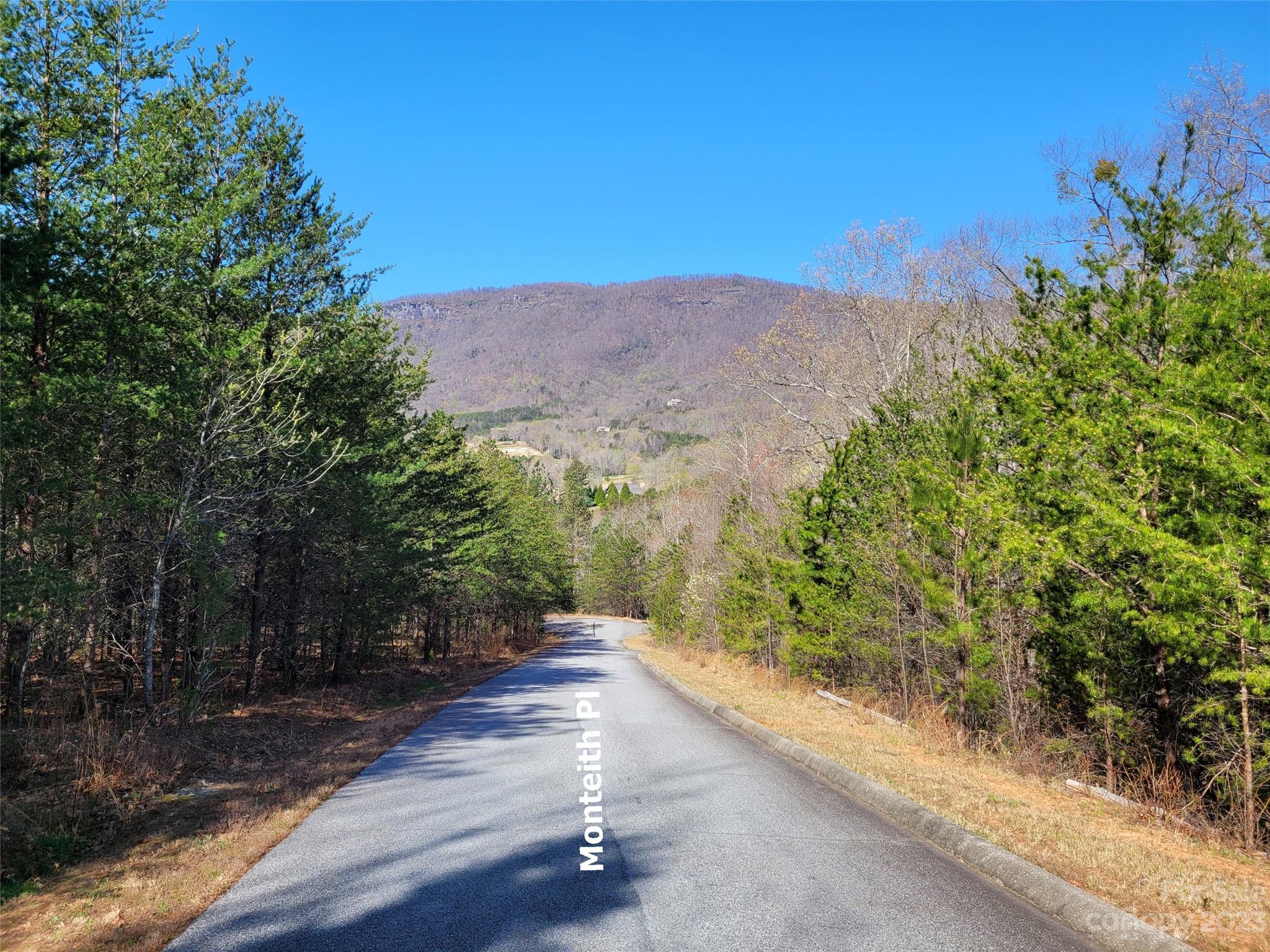 Lot 25 Monteith Place Property Photo 3