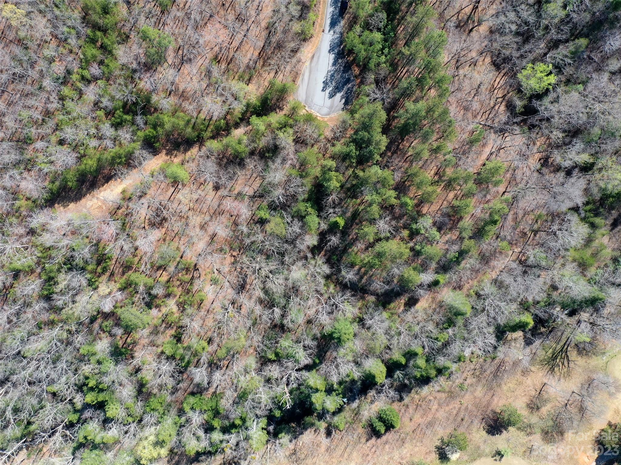 Lot 25 Monteith Place Property Photo 9