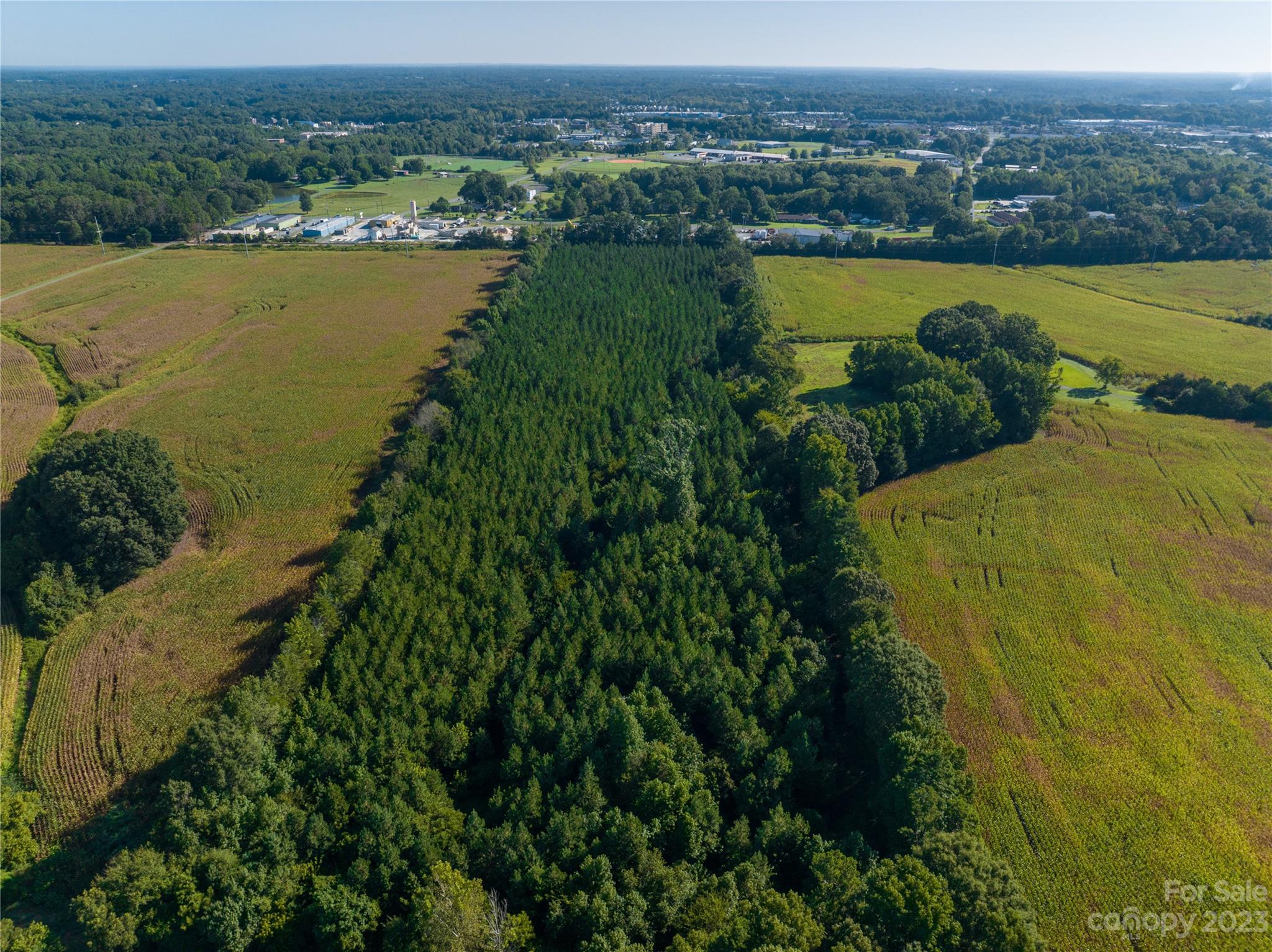 2210 Goldmine Road Property Photo 4