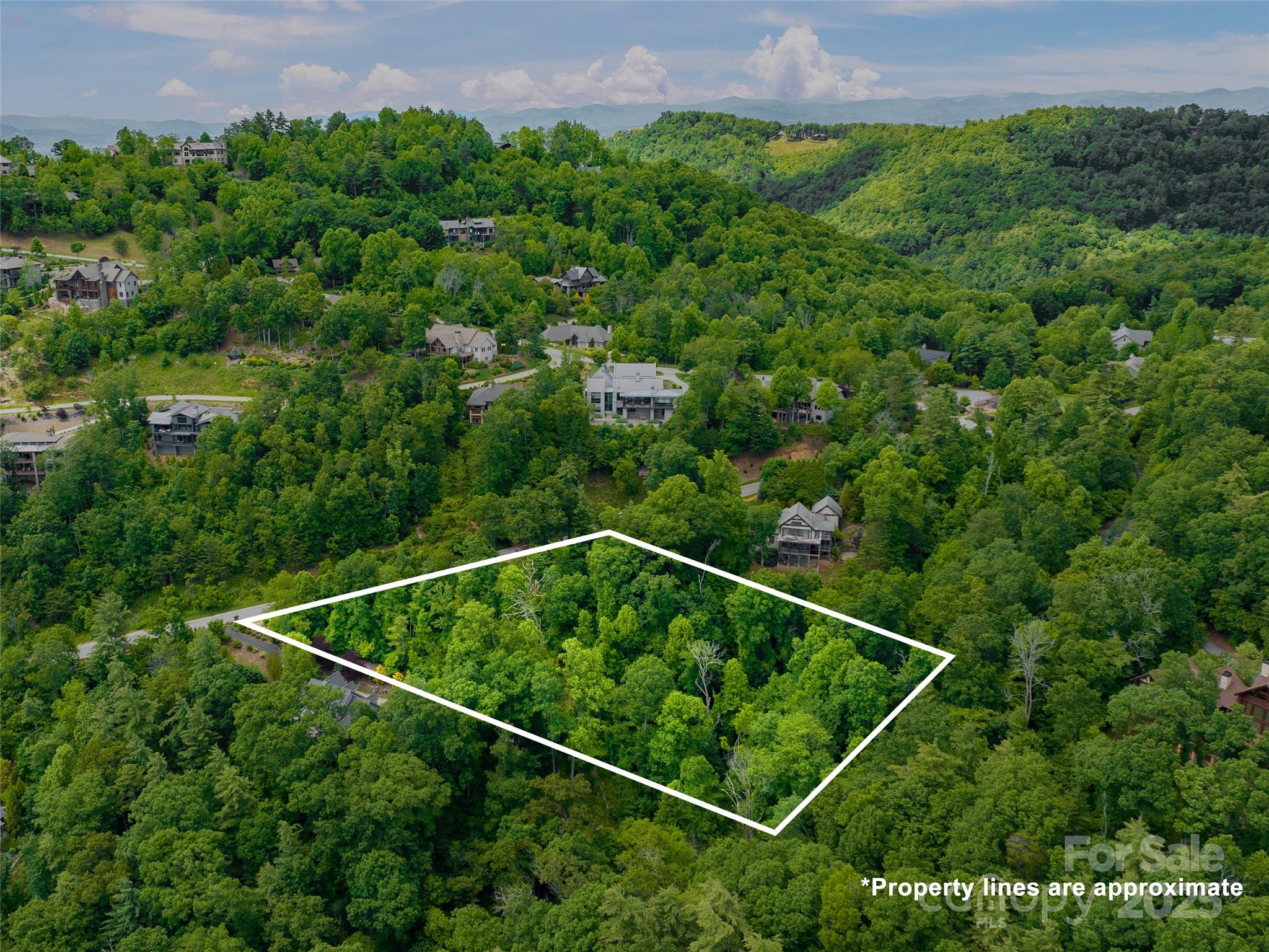 209 Senator Reynolds Road 26 Property Photo 3