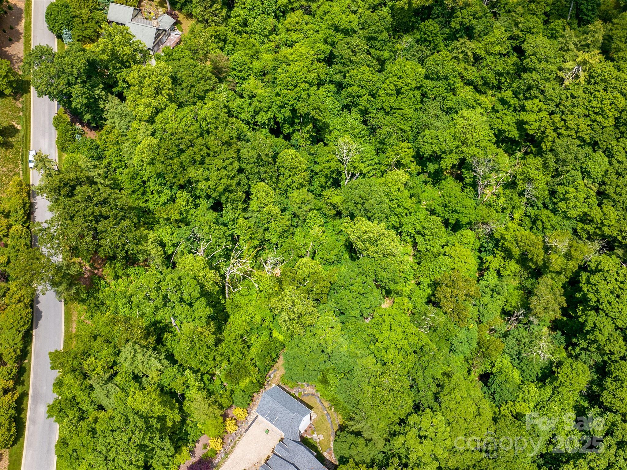 209 Senator Reynolds Road 26 Property Photo 4