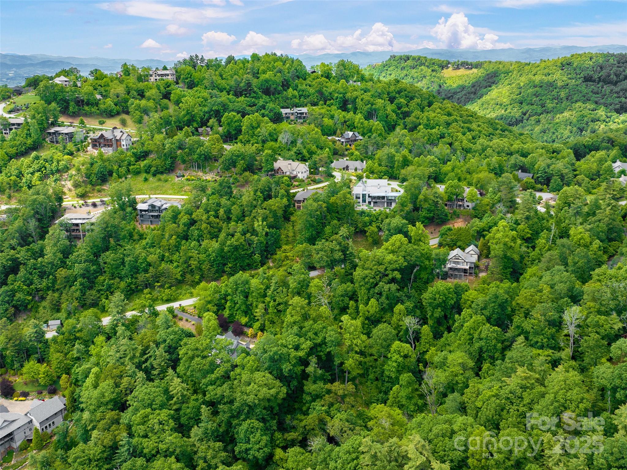 209 Senator Reynolds Road 26 Property Photo 6