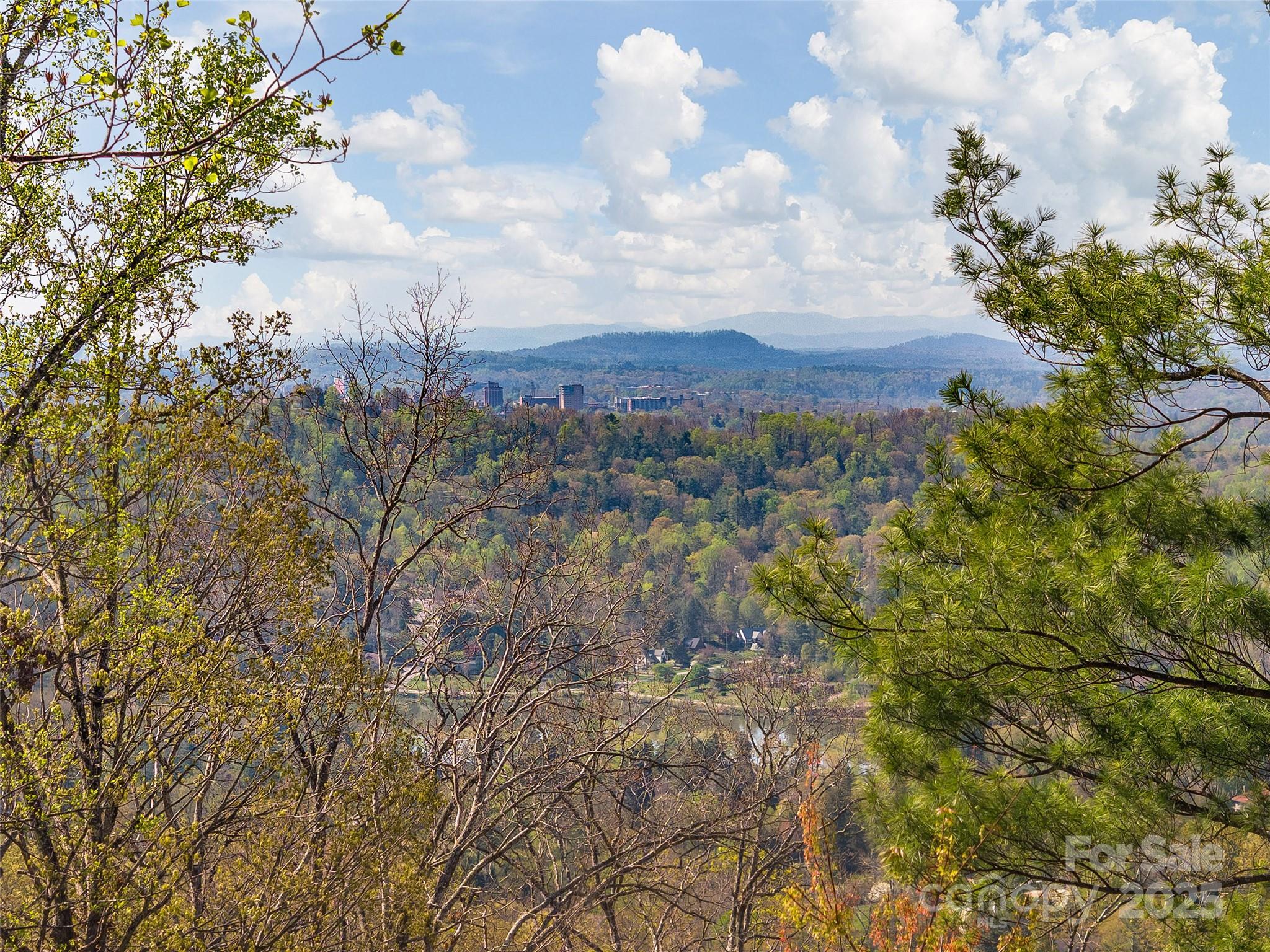 209 Senator Reynolds Road 26 Property Photo 7