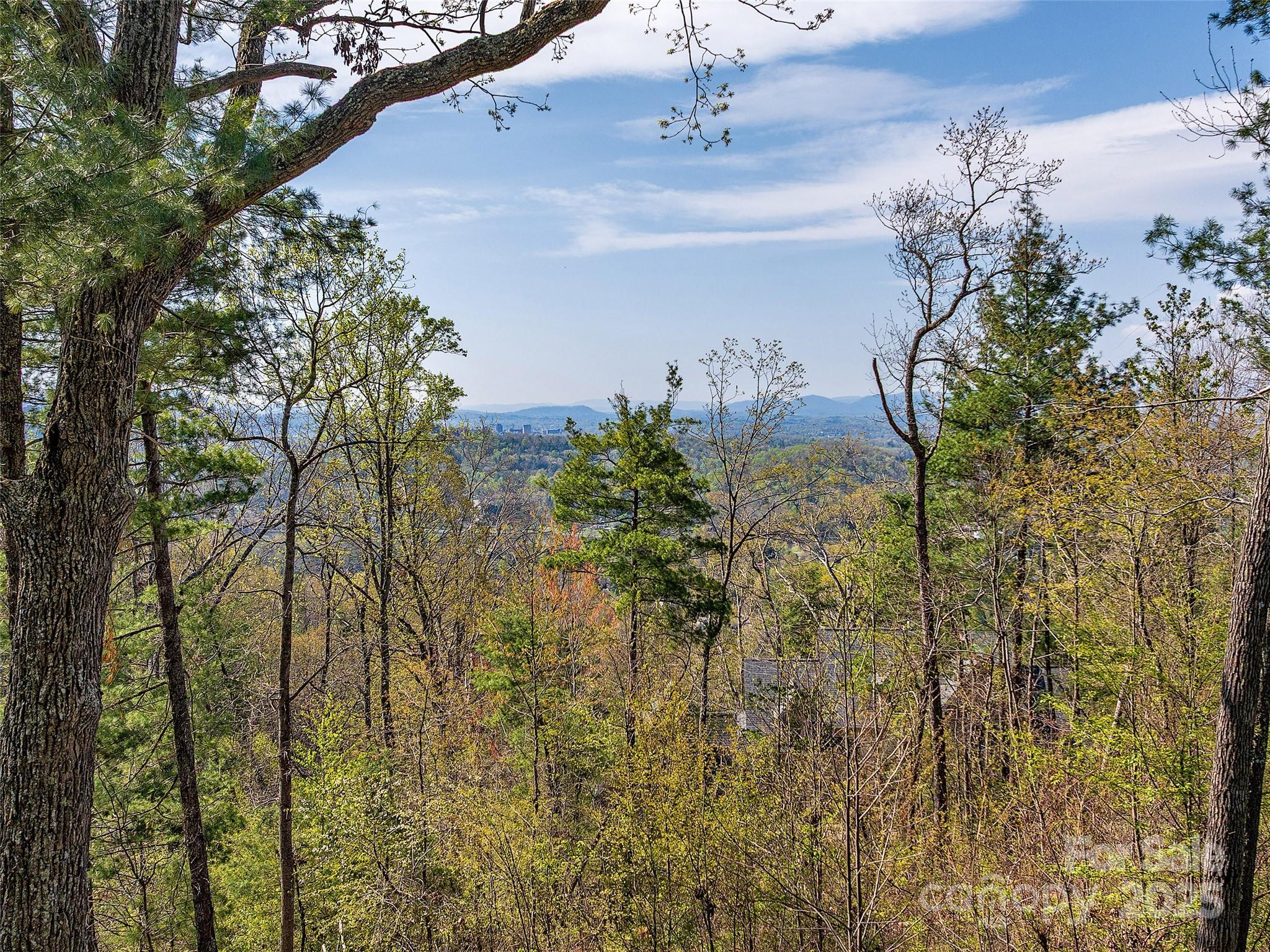 209 Senator Reynolds Road 26 Property Photo 8