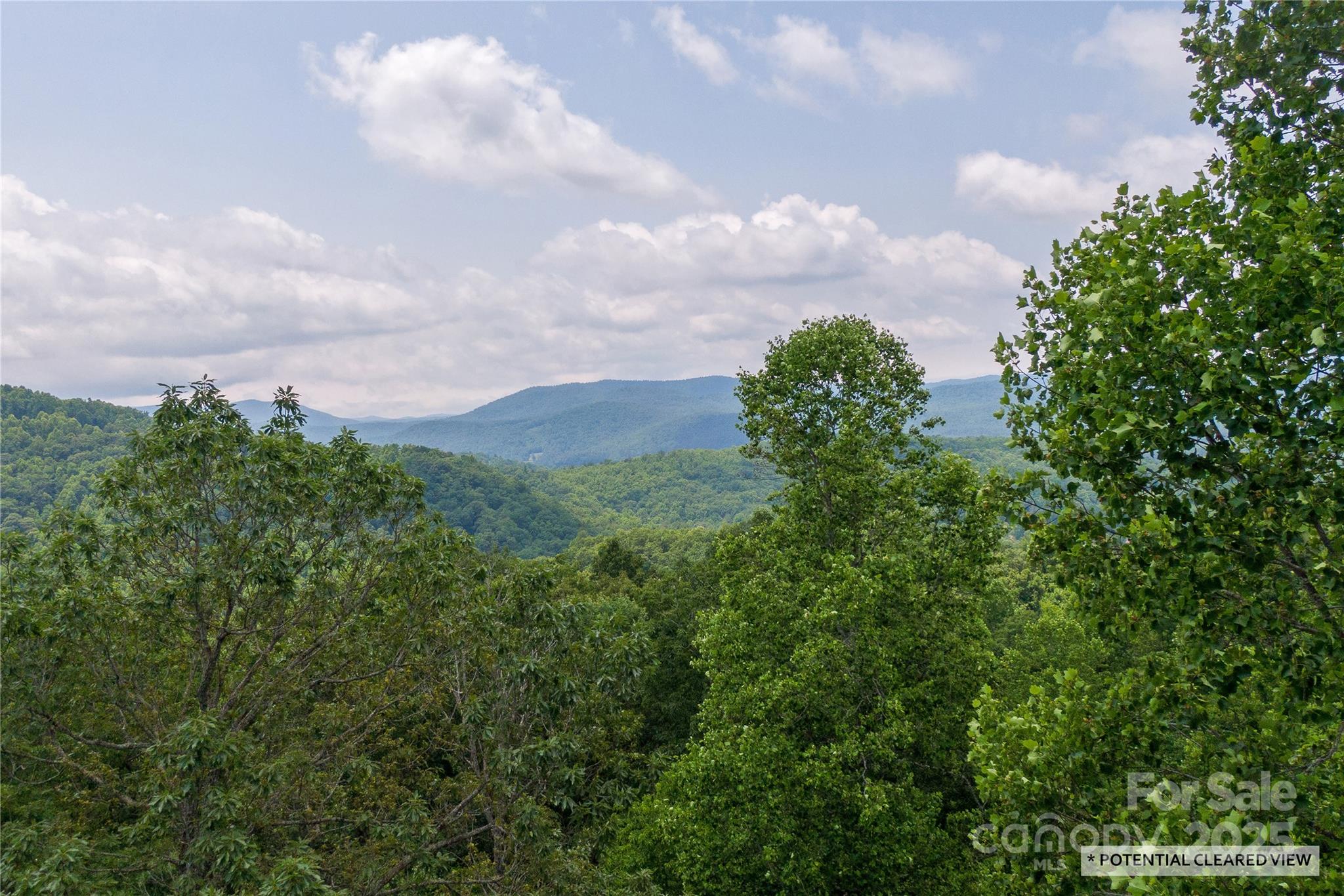100 Ivywood Lane Property Photo 4