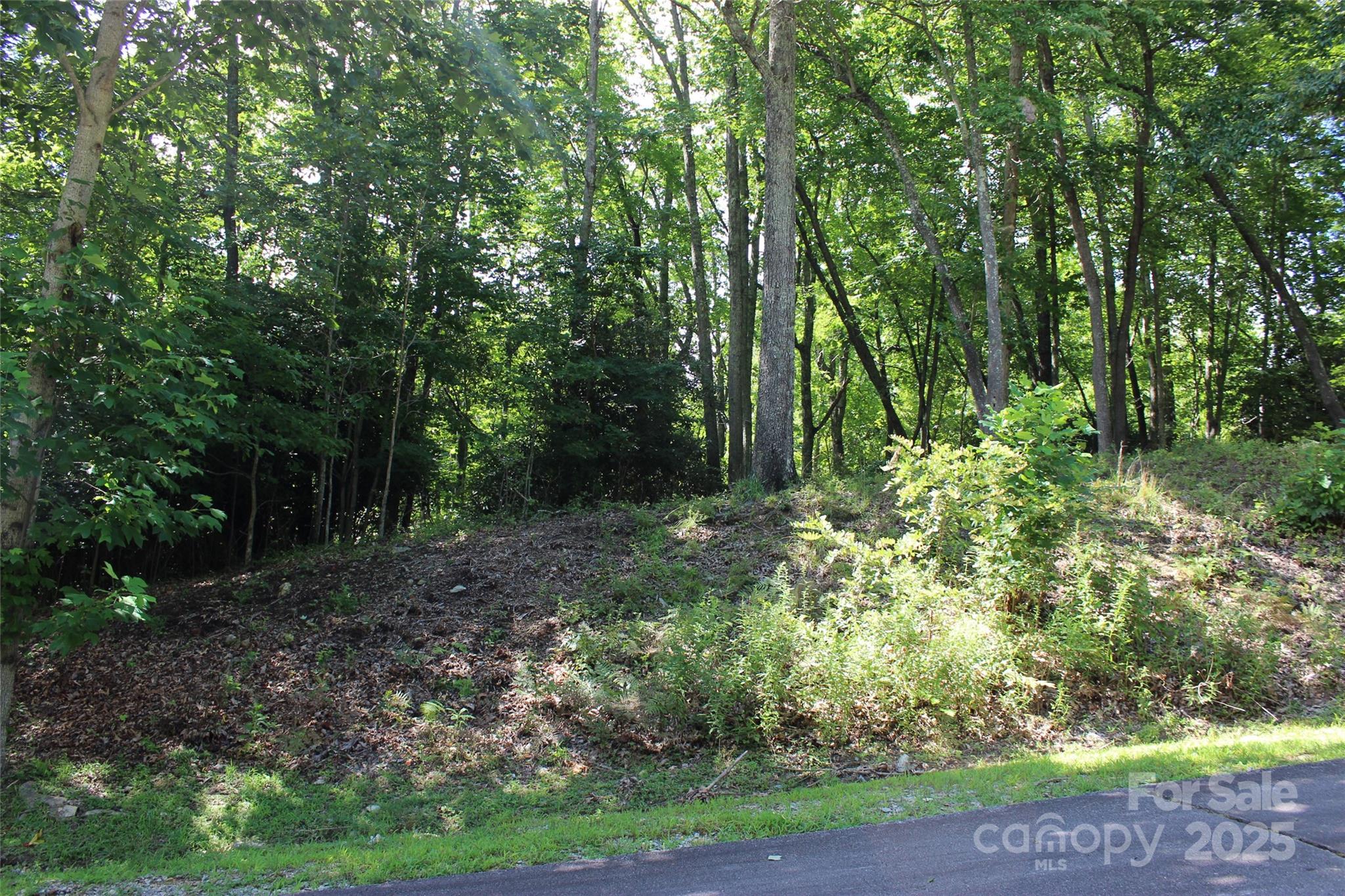 100 Ivywood Lane Property Photo 18