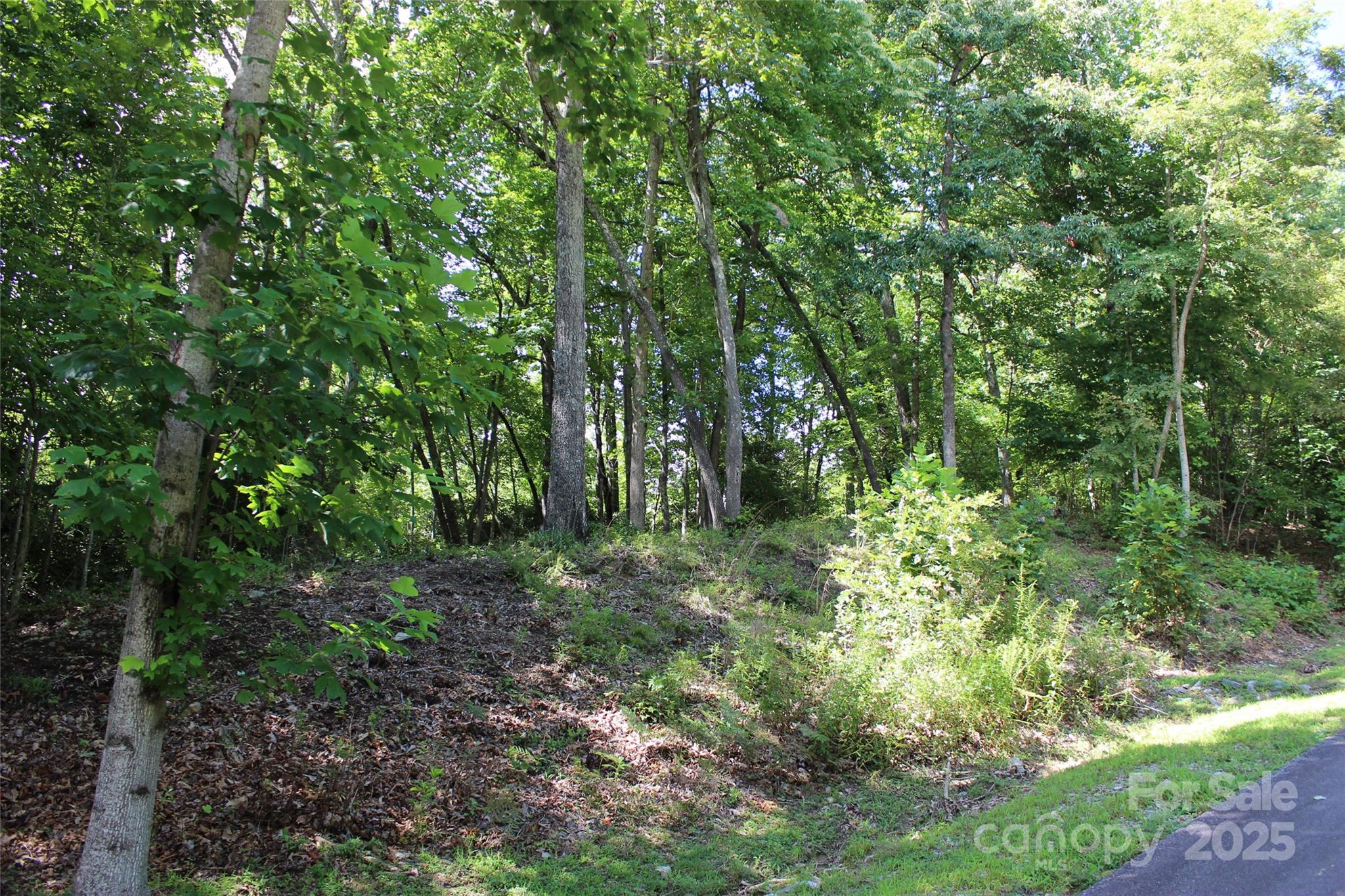 100 Ivywood Lane Property Photo 19
