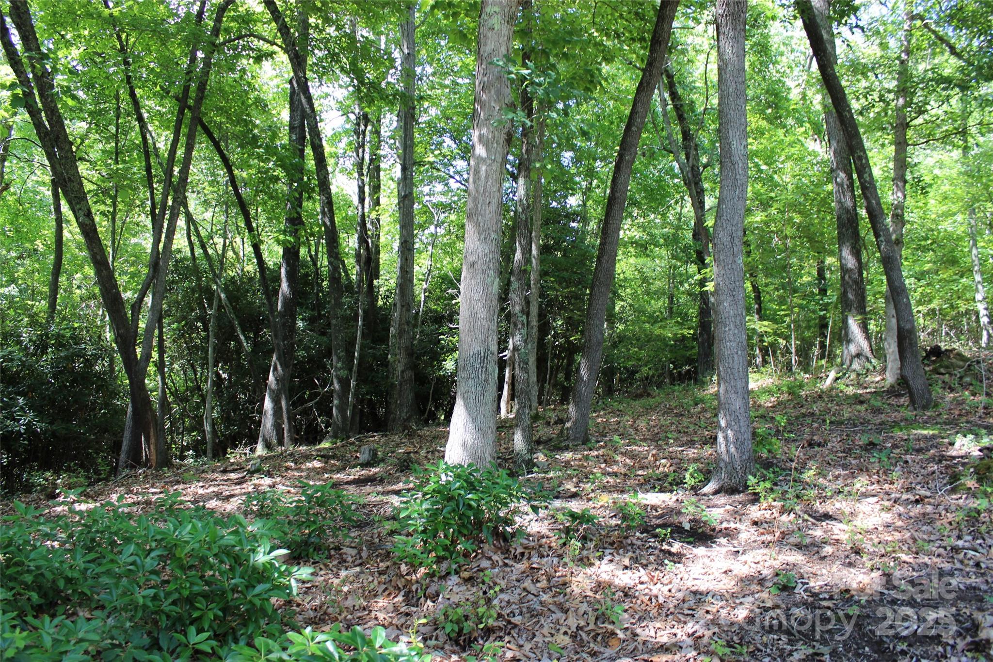100 Ivywood Lane Property Photo 20