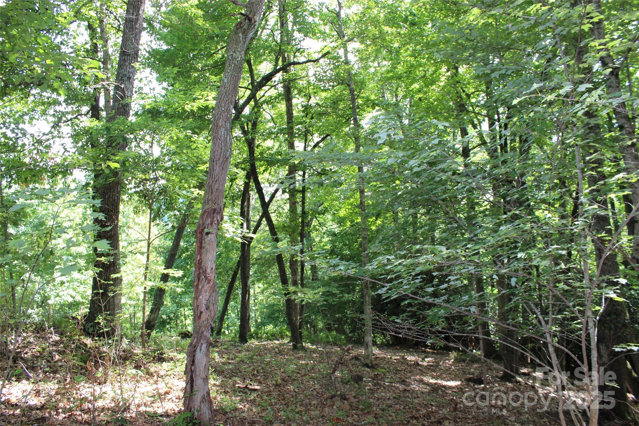 100 Ivywood Lane Property Photo 22