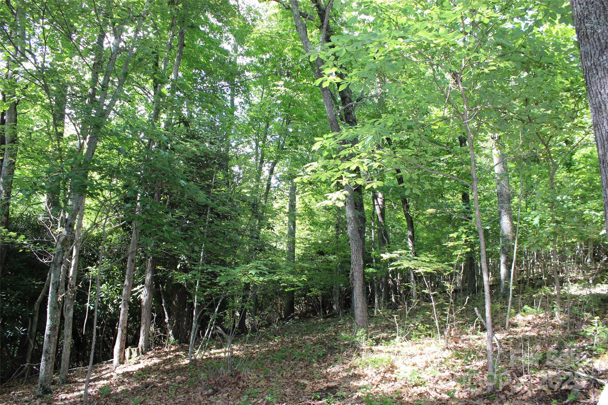 100 Ivywood Lane Property Photo 23