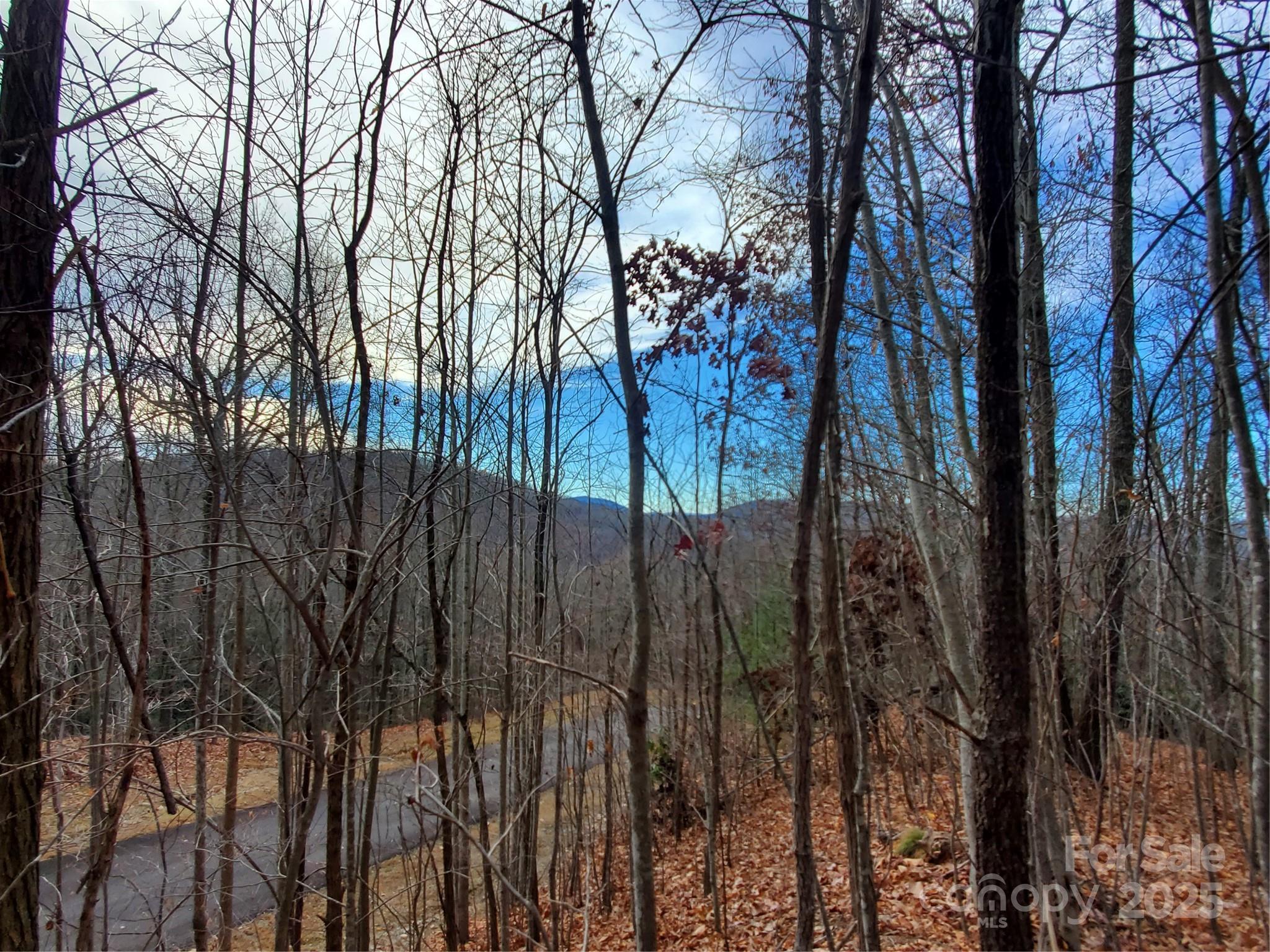 100 Ivywood Lane Property Photo 27