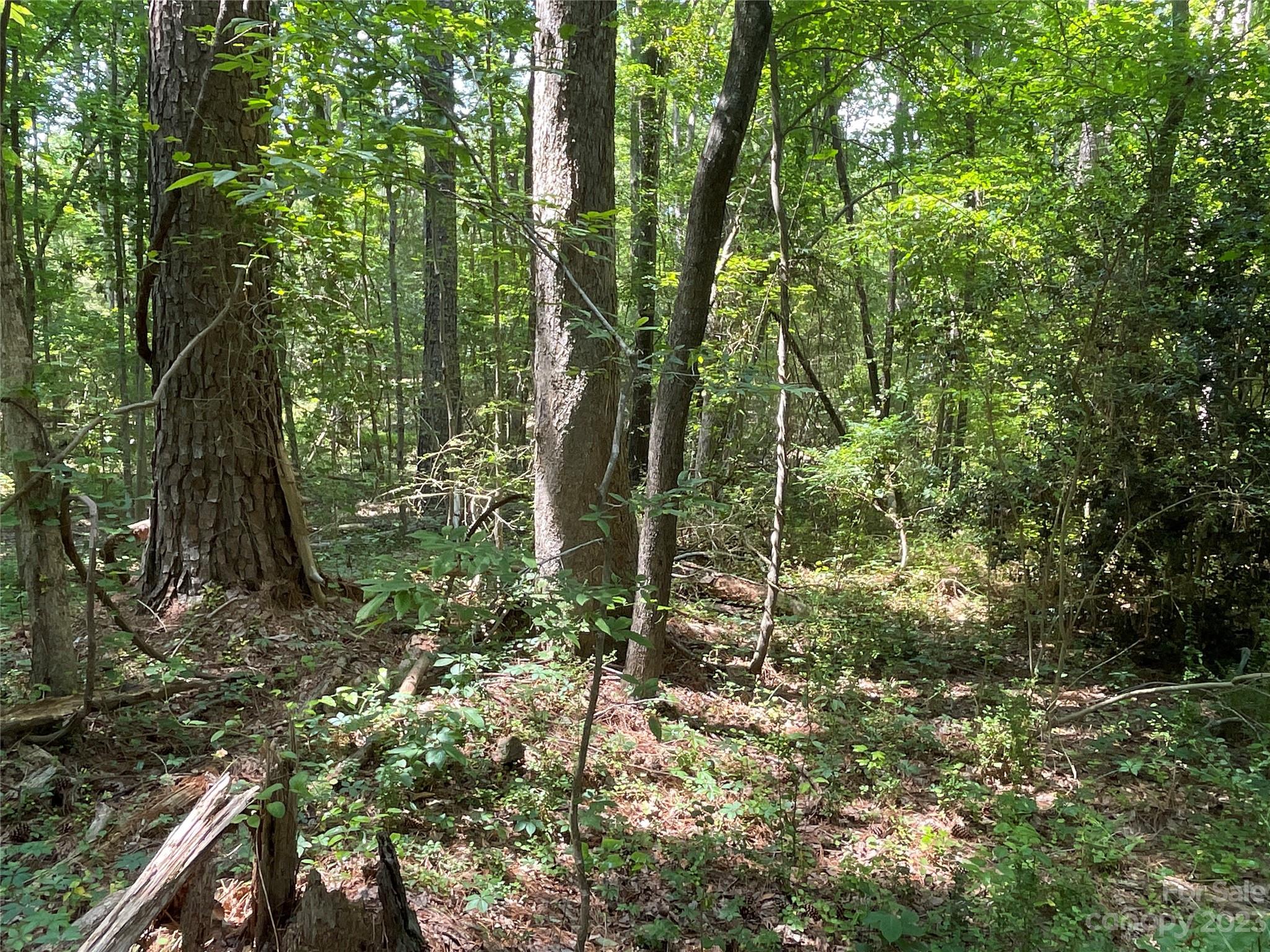 2790 Great Falls Highway Property Photo 6