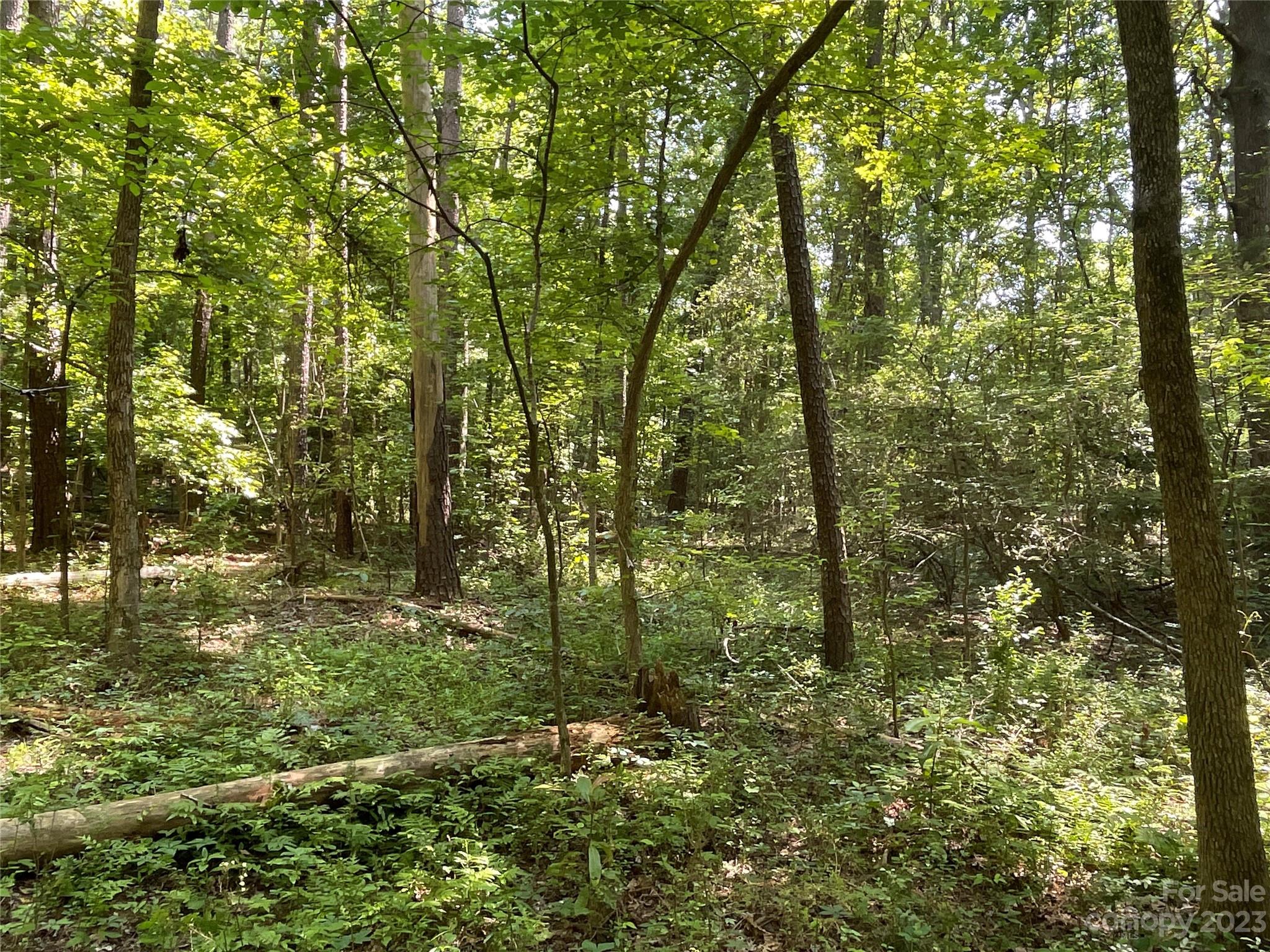 2790 Great Falls Highway Property Photo 7