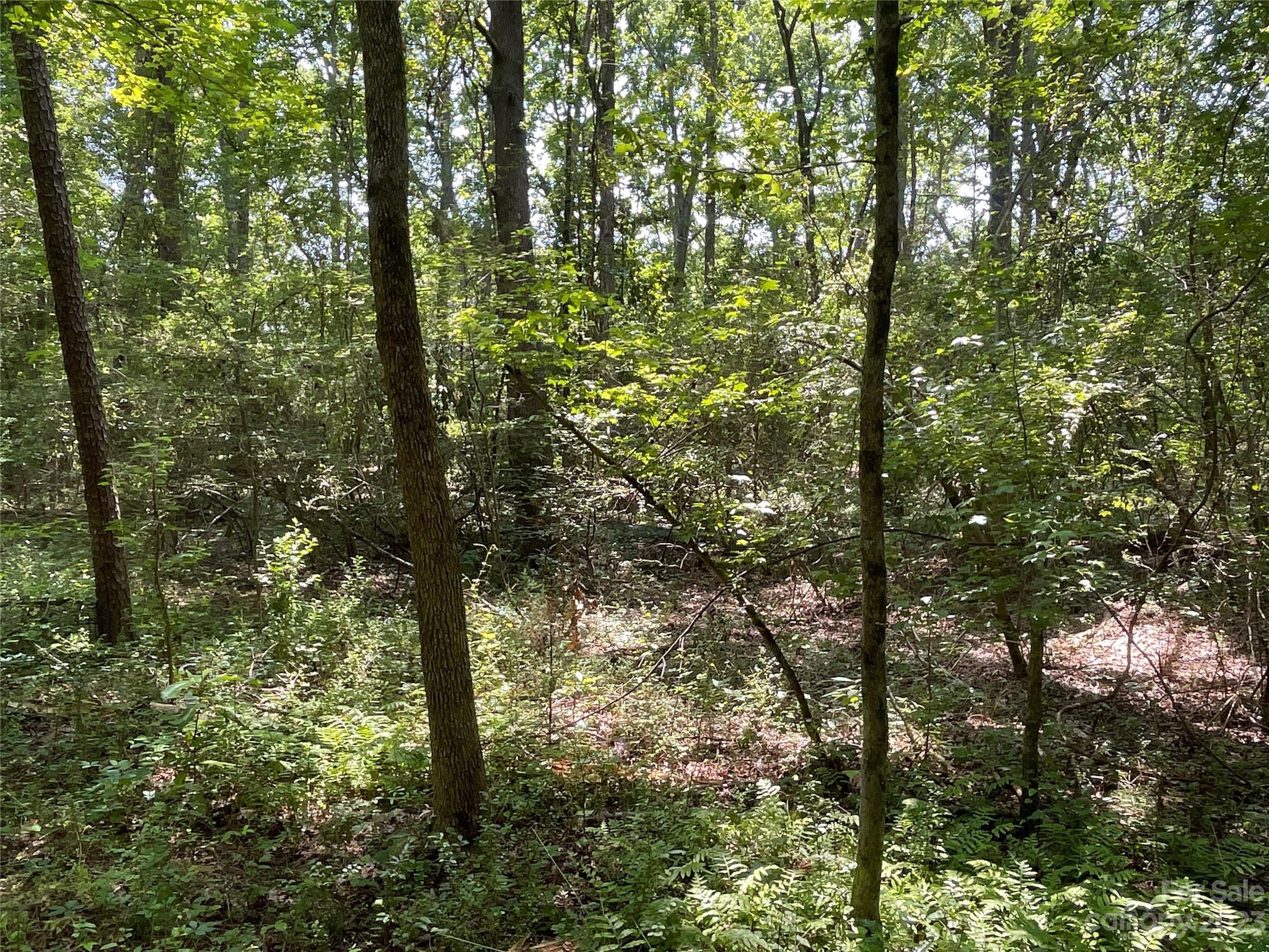 2790 Great Falls Highway Property Photo 8