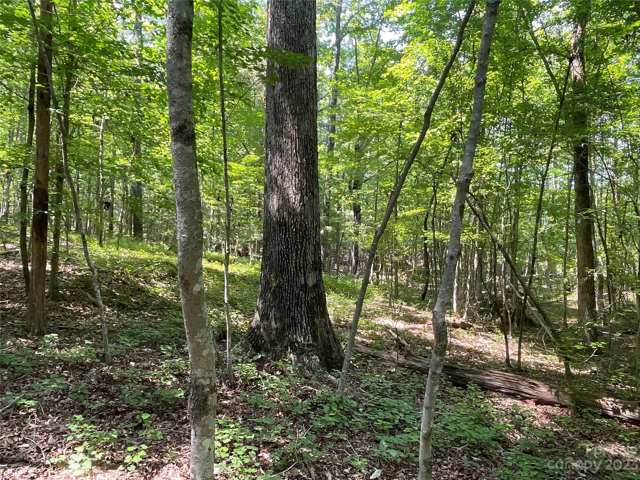 2790 Great Falls Highway Property Photo 9