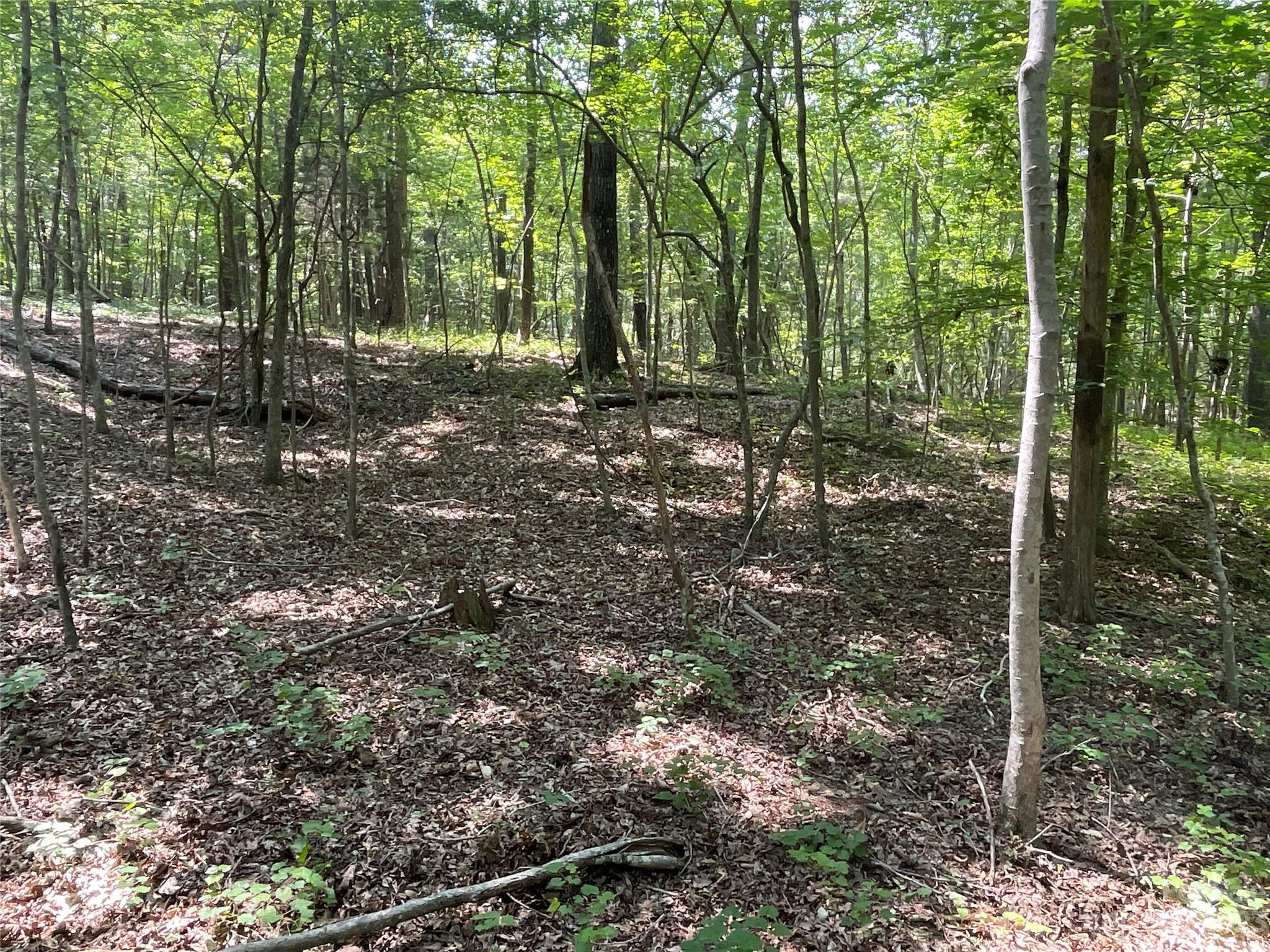 2790 Great Falls Highway Property Photo 10