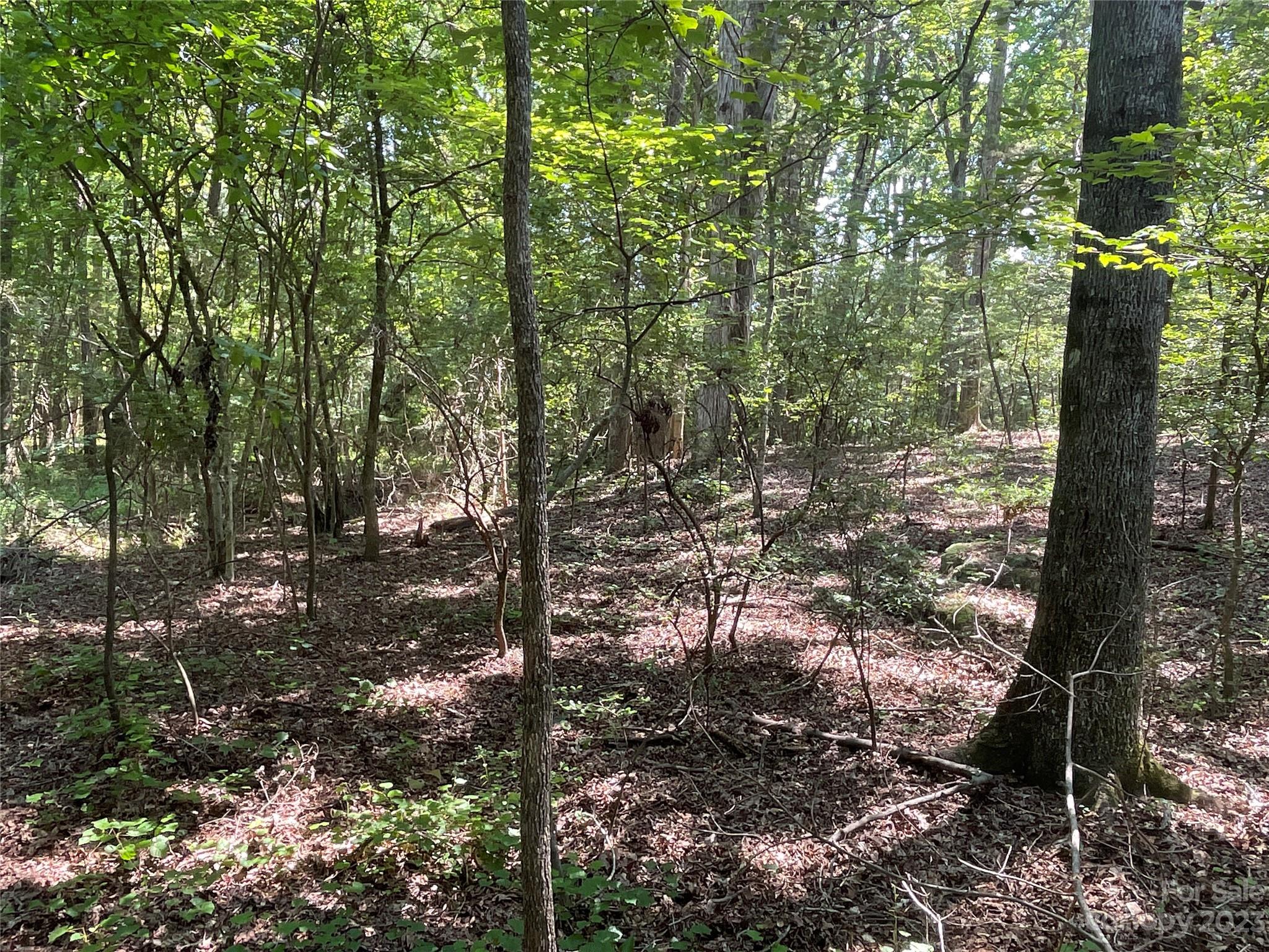 2790 Great Falls Highway Property Photo 11