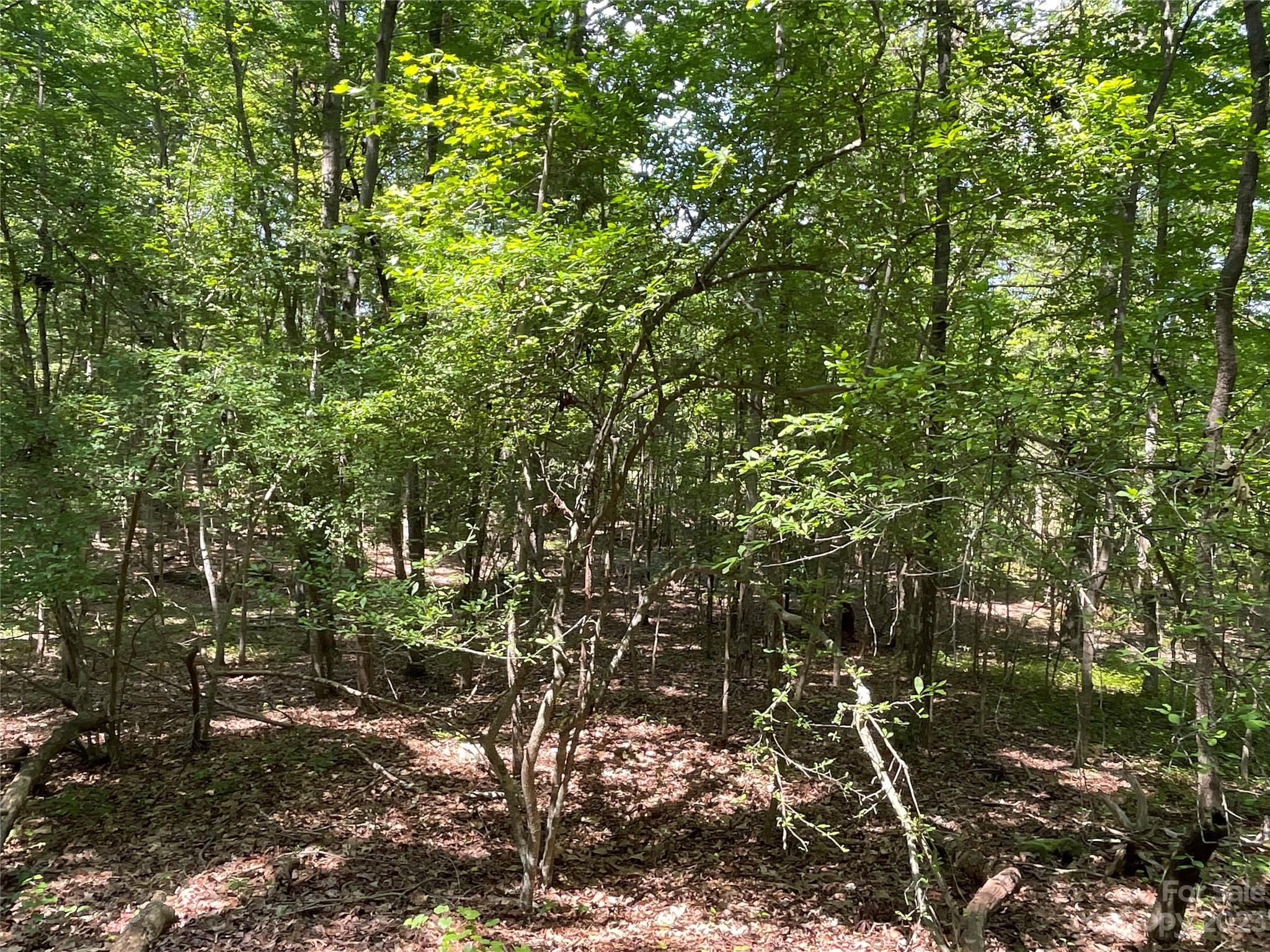 2790 Great Falls Highway Property Photo 12